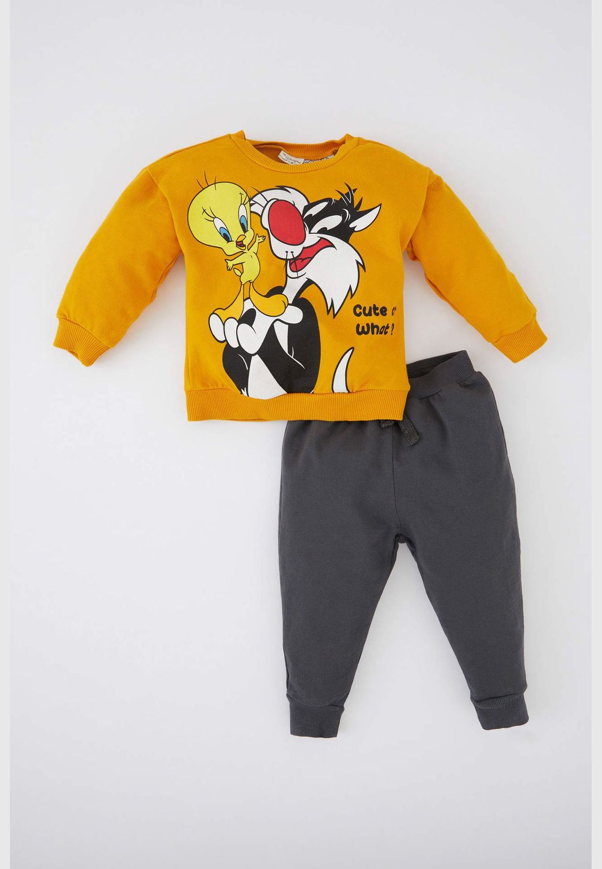 2 Pack BabyBoy Looney Tunes Licenced Regular Fit Bike Neck Long Sleeve Knitted Set