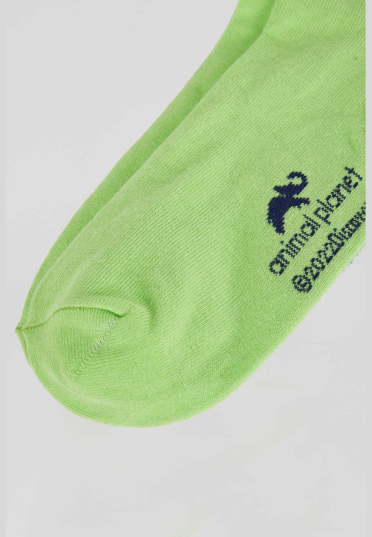 Buy Defacto green Man Animal Planet Licenced Socks for Men in Dubai, Abu  Dhabi