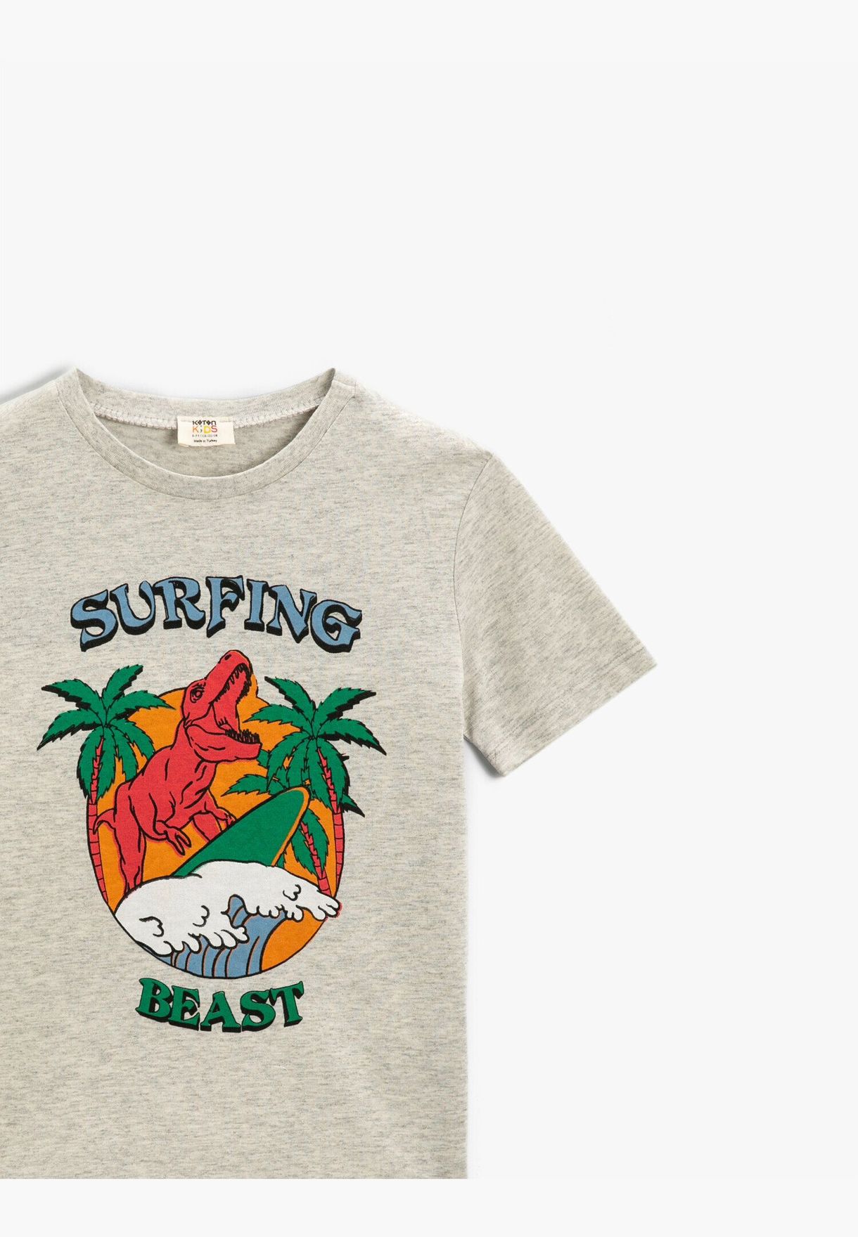 Dinosaur Printed Short Sleeve T-Shirt 