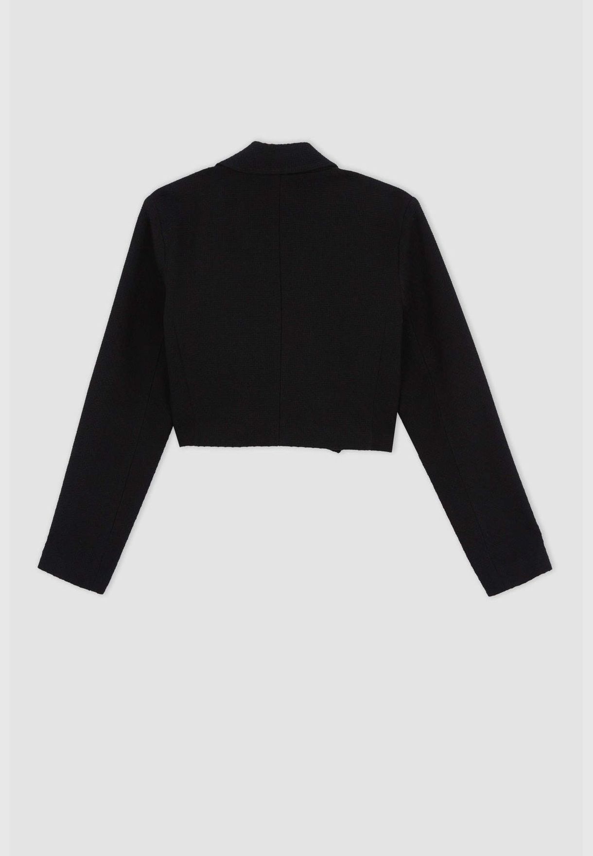 Basic Long Sleeve Crop Blazer Jacket