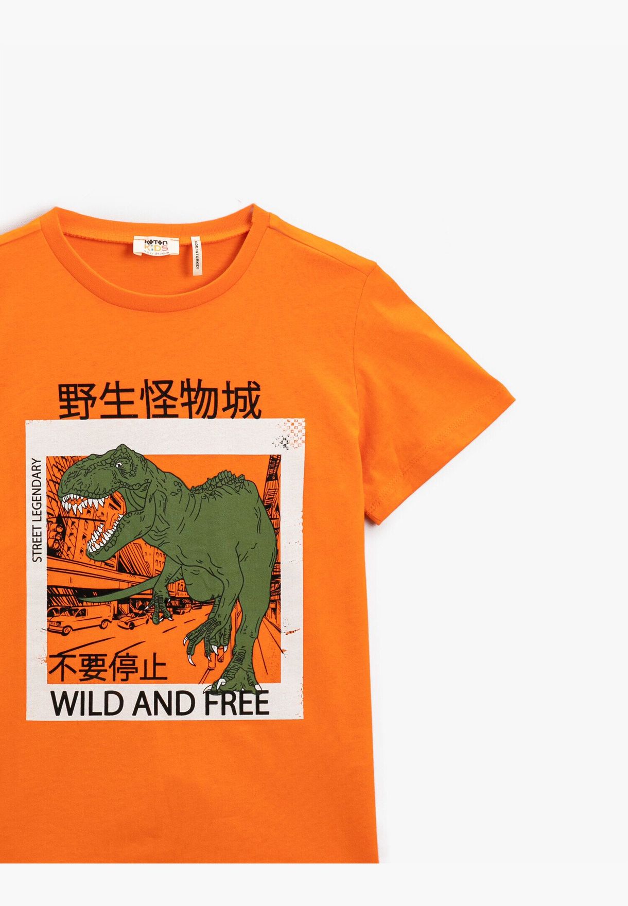 Dinosaur Printed Short Sleeve T-Shirt Cotton