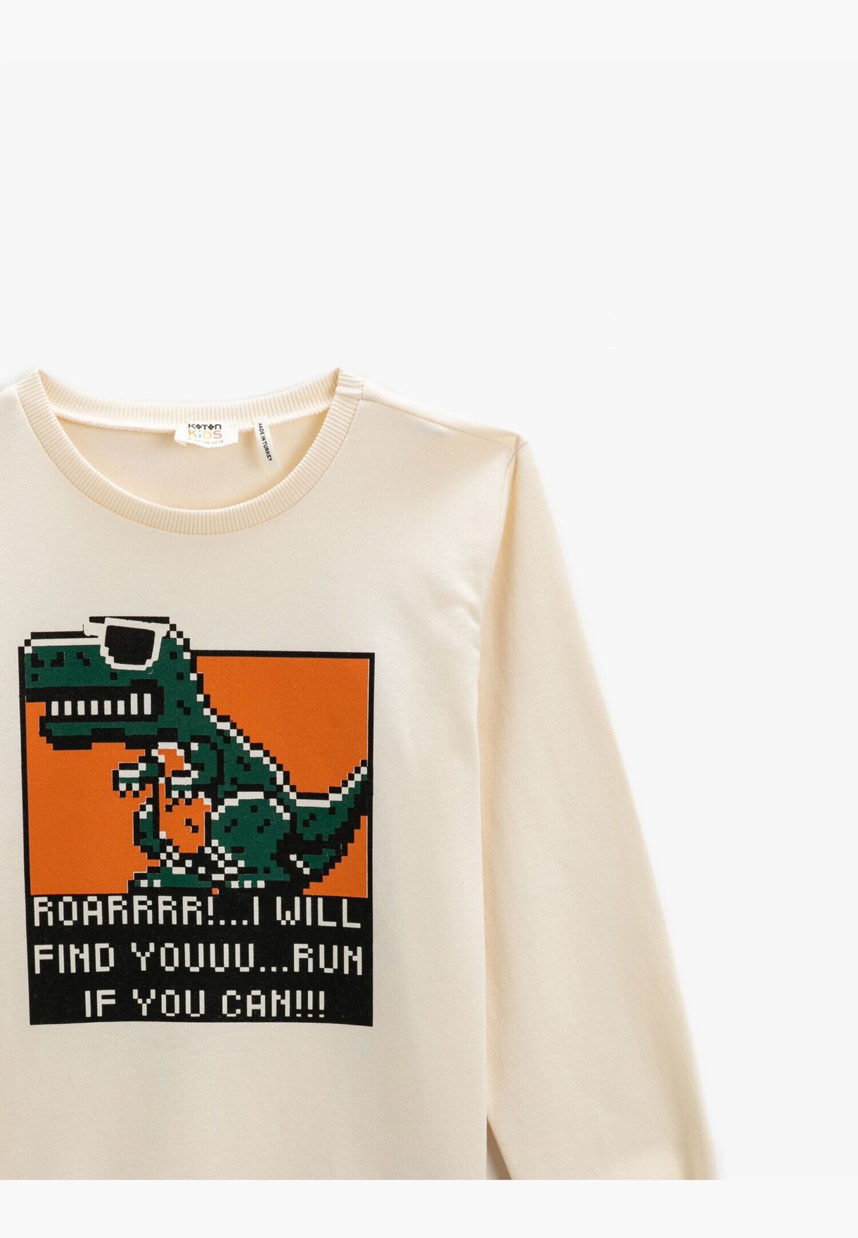 Dinosaur Printed Sweatshirt Long Sleeve