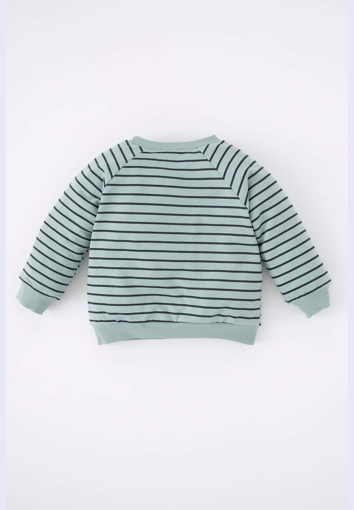 BabyBoy Regular Fit Long Sleeve Knitted Sweat Shirt
