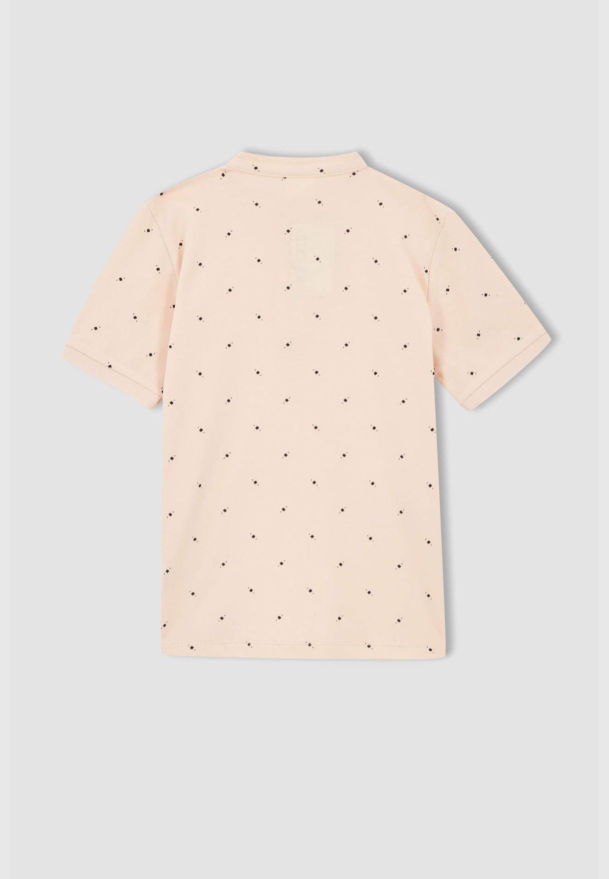 Regular Fit Short Sleeve Printed T-Shirt
