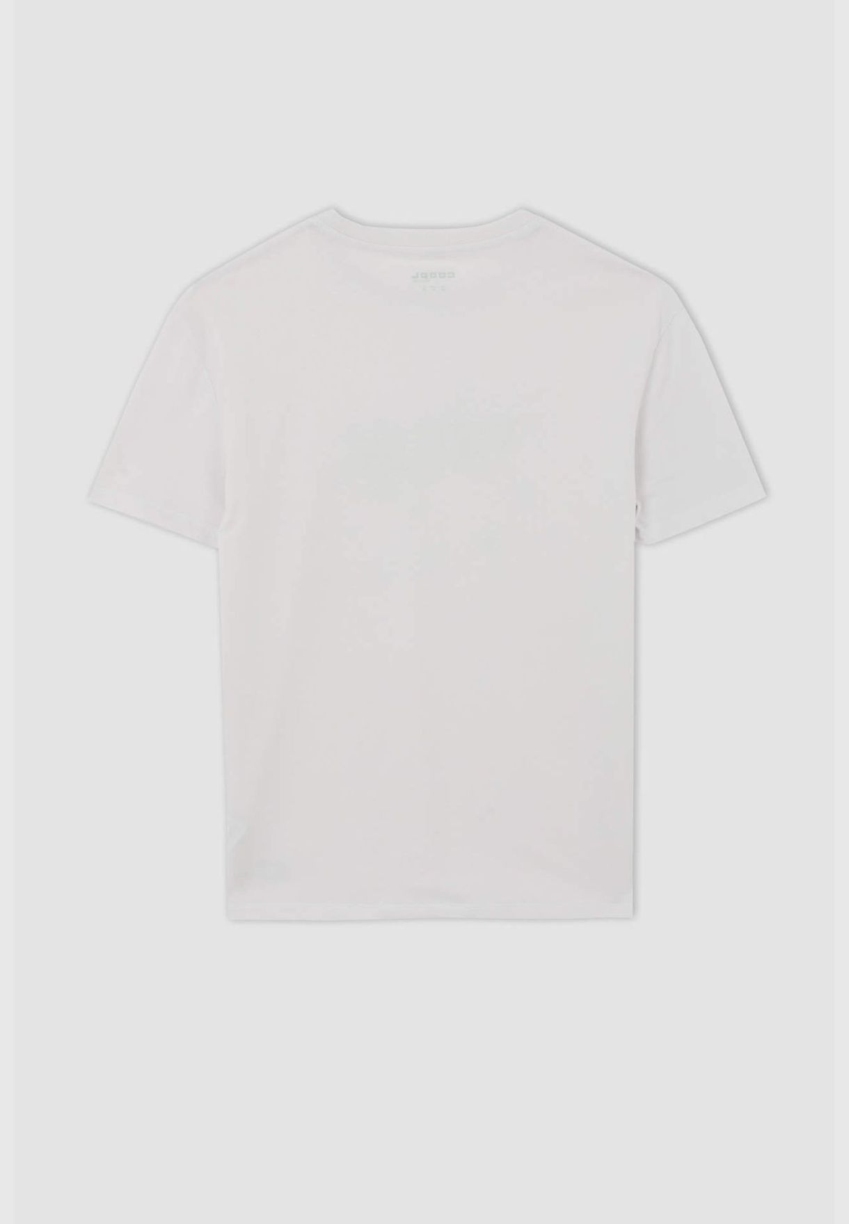 Man Regular Fit Crew Neck Short Sleeve T-Shirt
