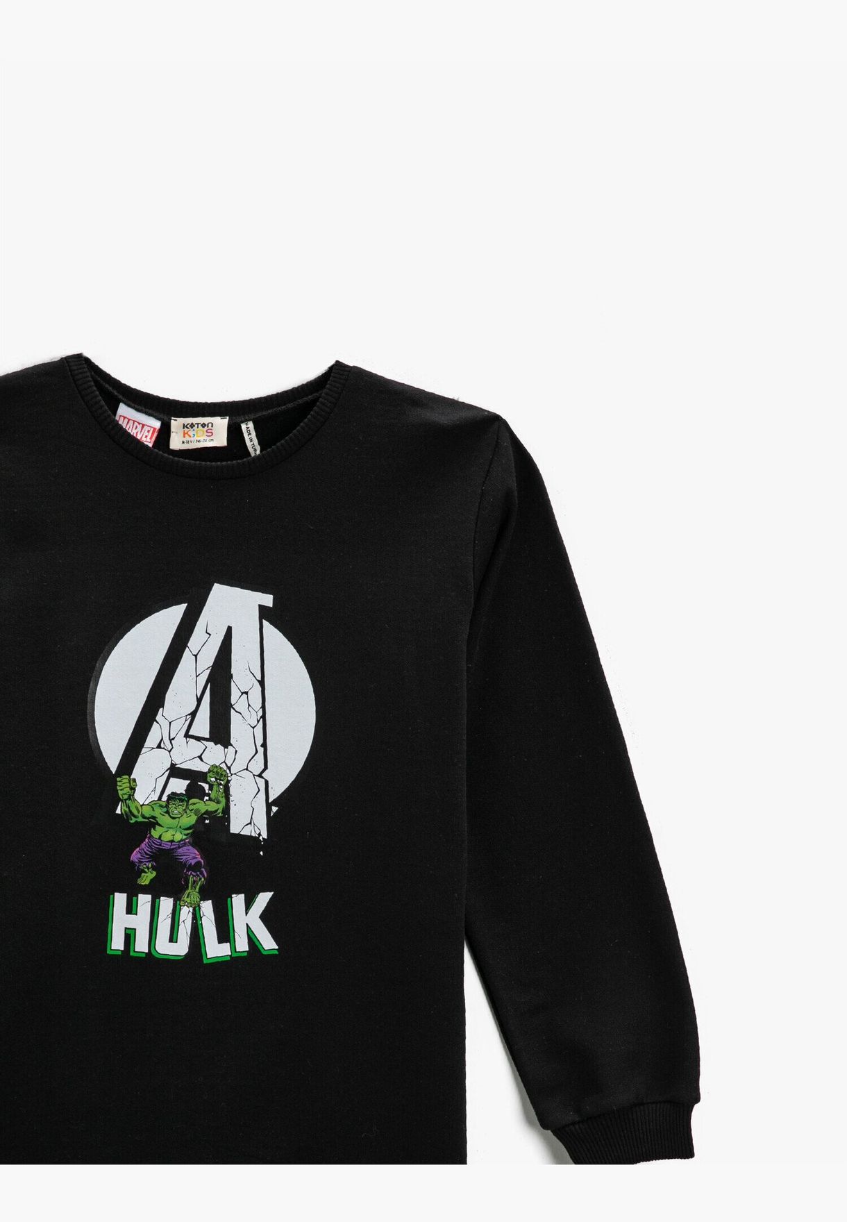 Hulk Licensed Printed Sweatshirt Long Sleeve
