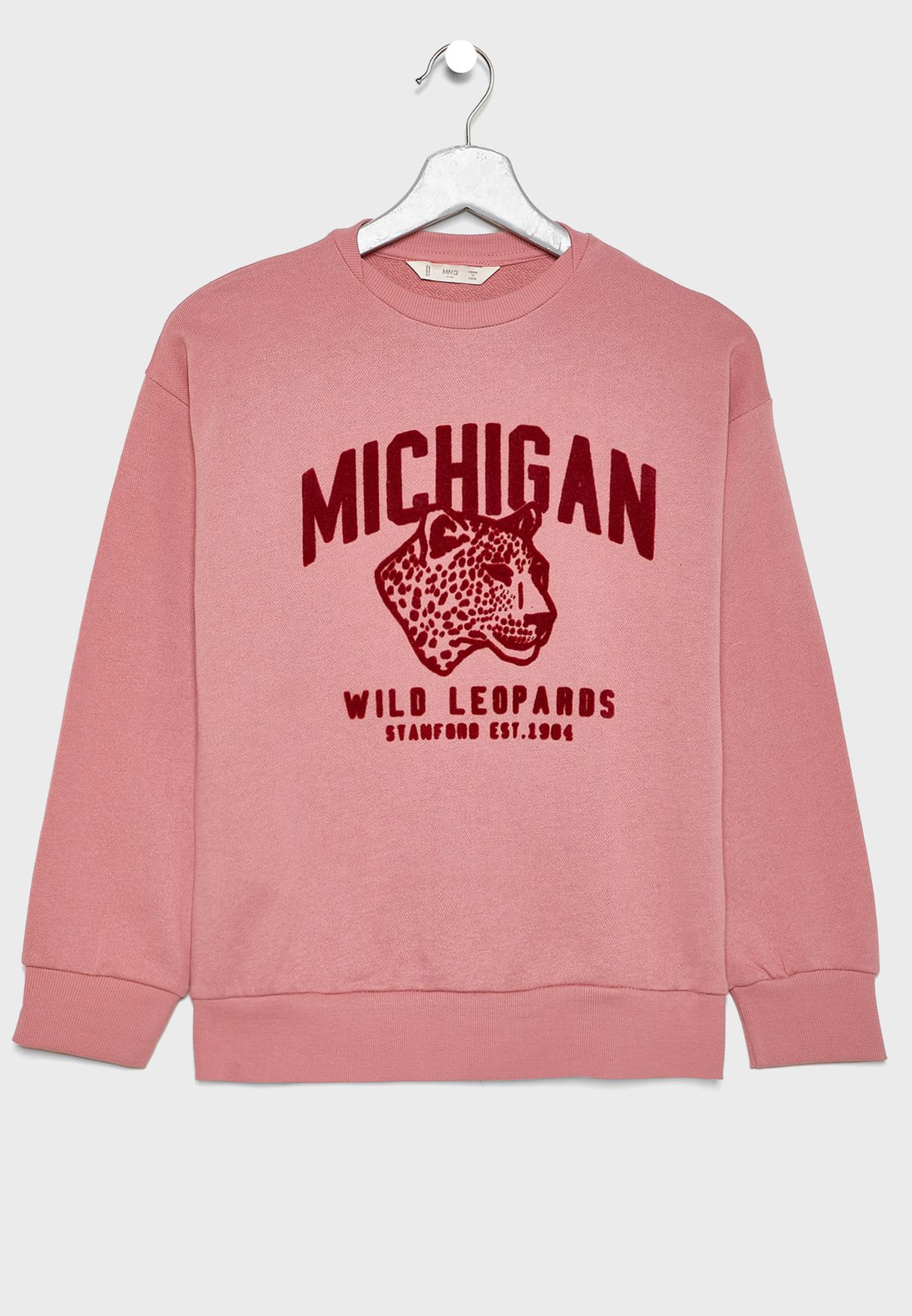 Kids Michigan Sweatshirt