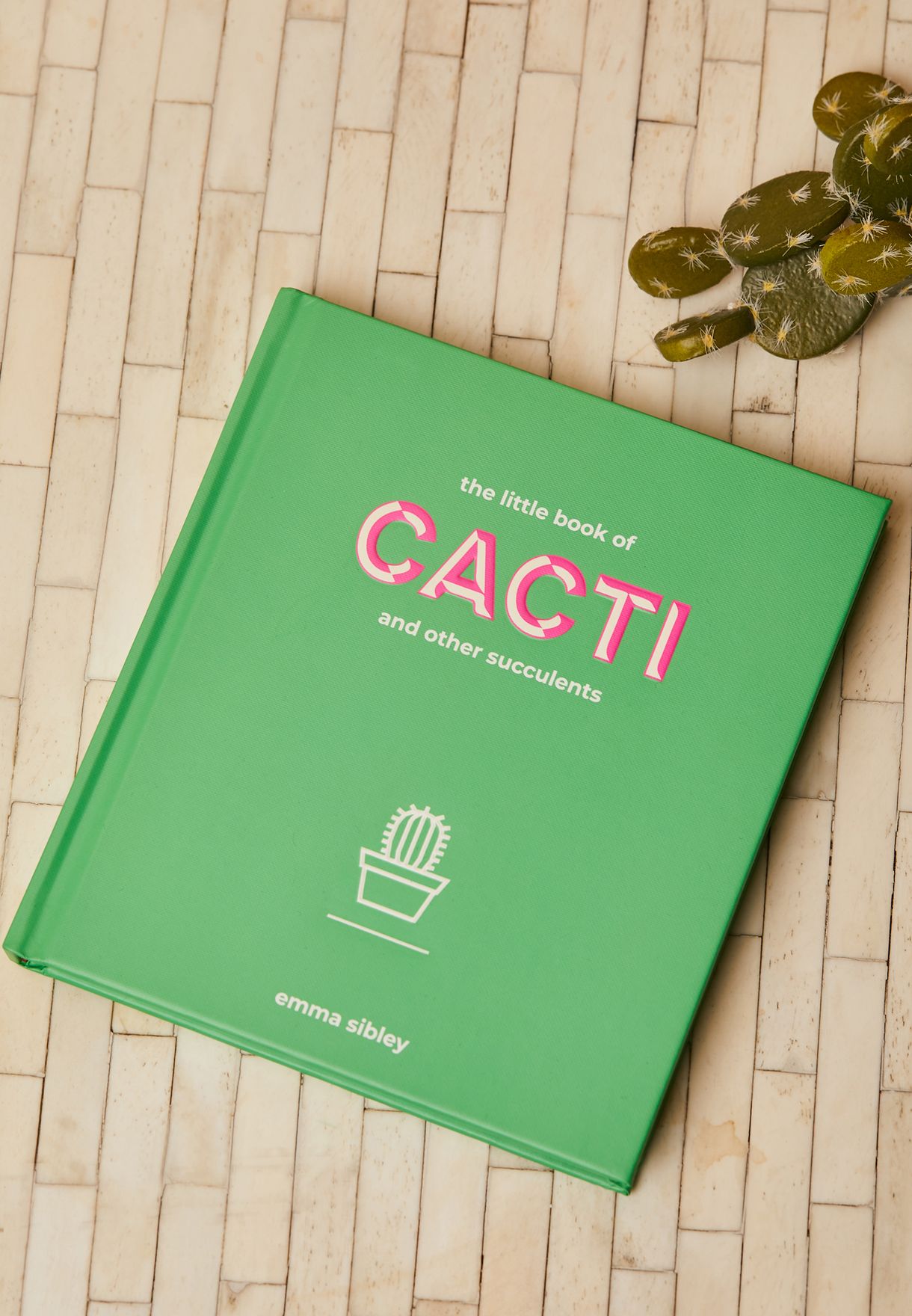 Little Book Of Cacti