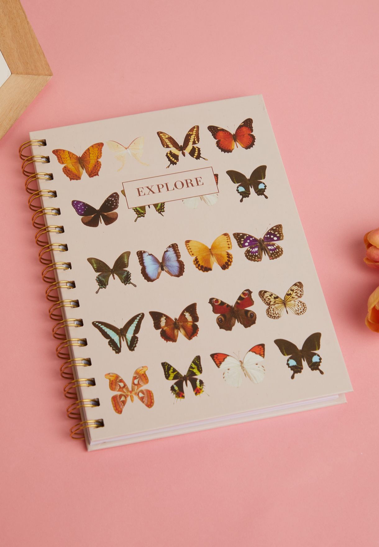 A5 Spiral Hardcover Notebook - Butterflies