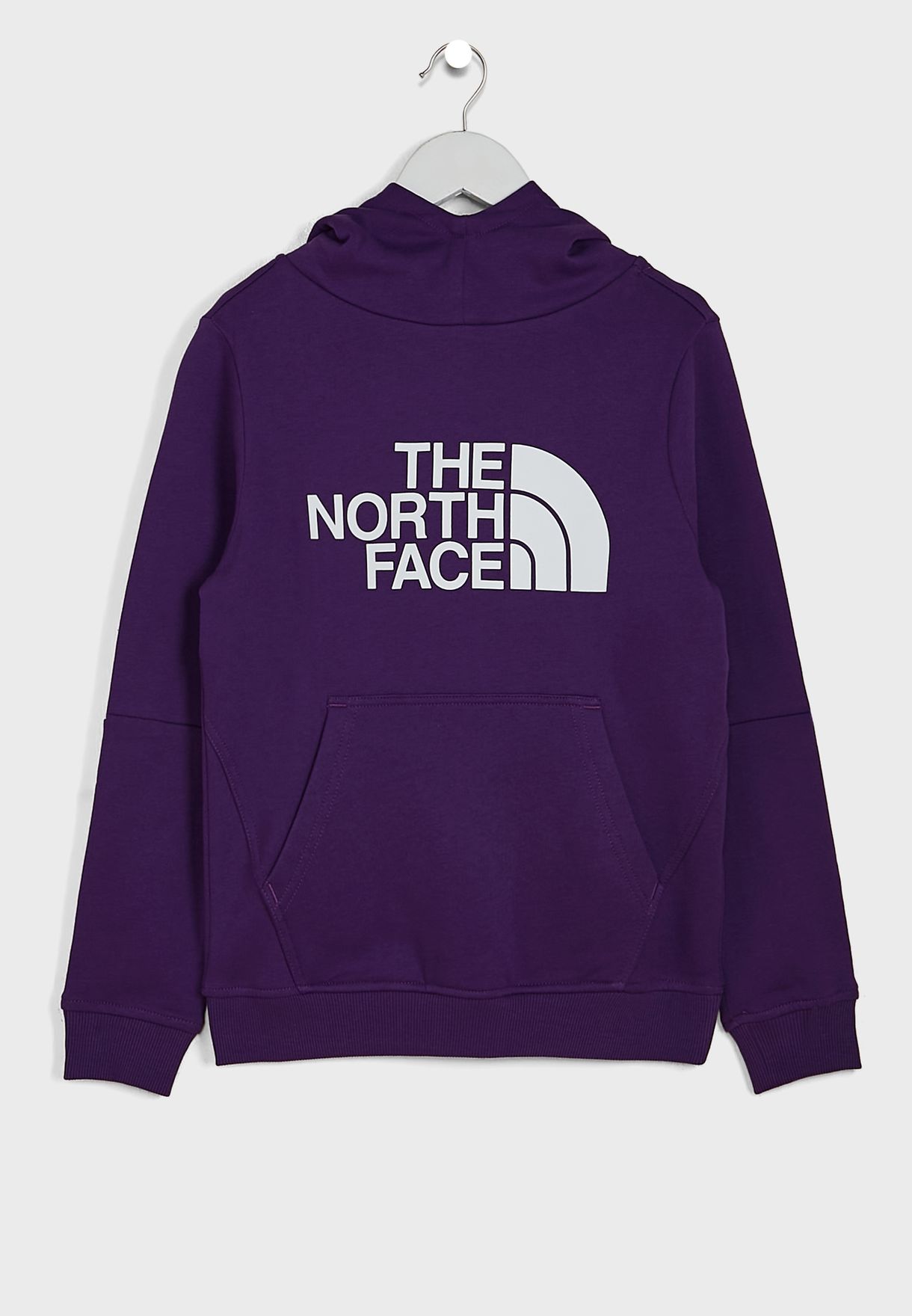 hoodie the north face original