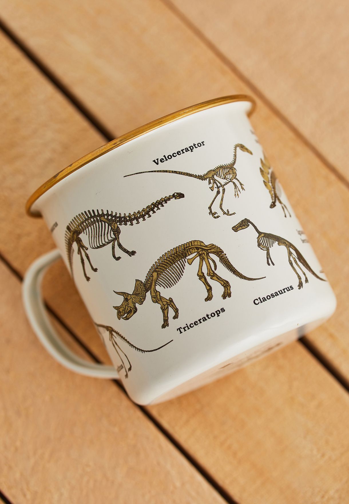 Ecologie - Dinosaurum Enamel Mug