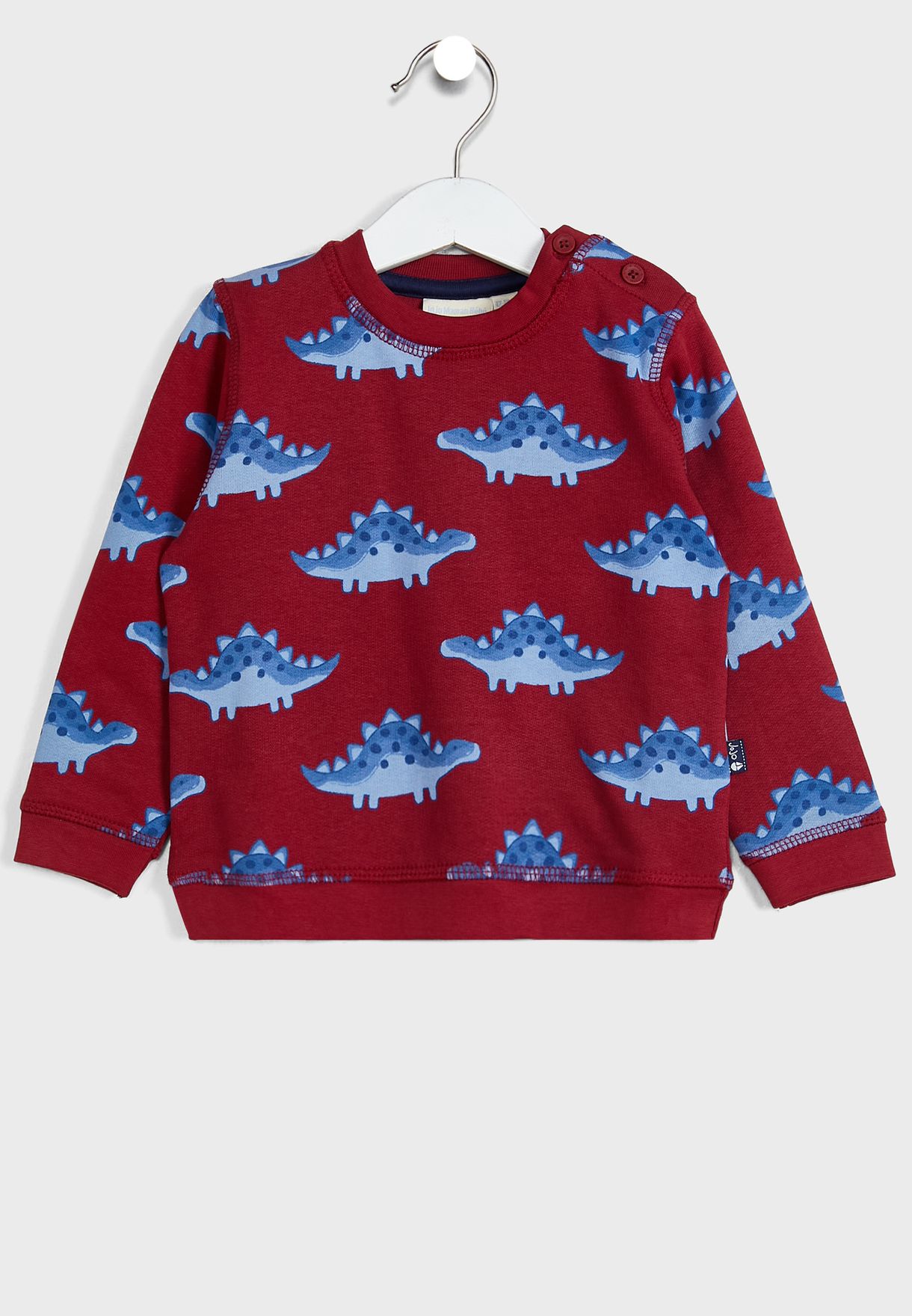 Kids Stegosaurus Print Sweatshirt