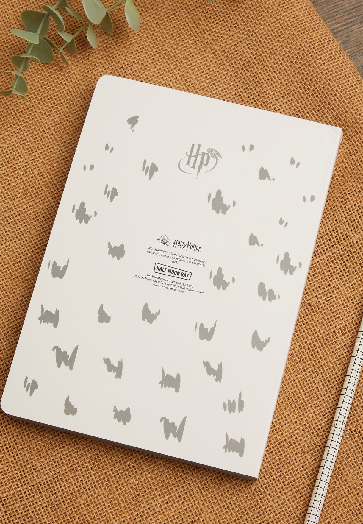 A5 Harry Potter Hedwig Notebook