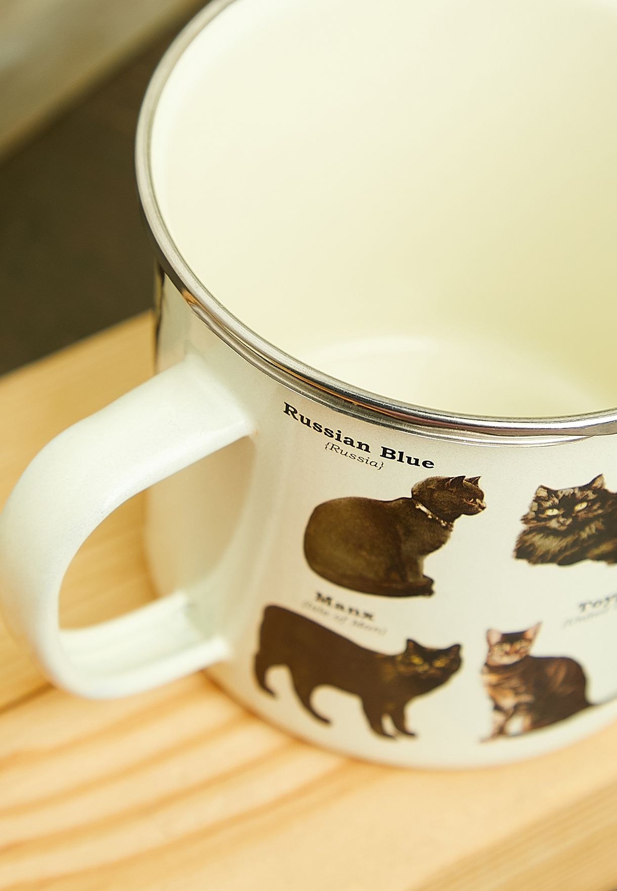 Cat Enamel Mug