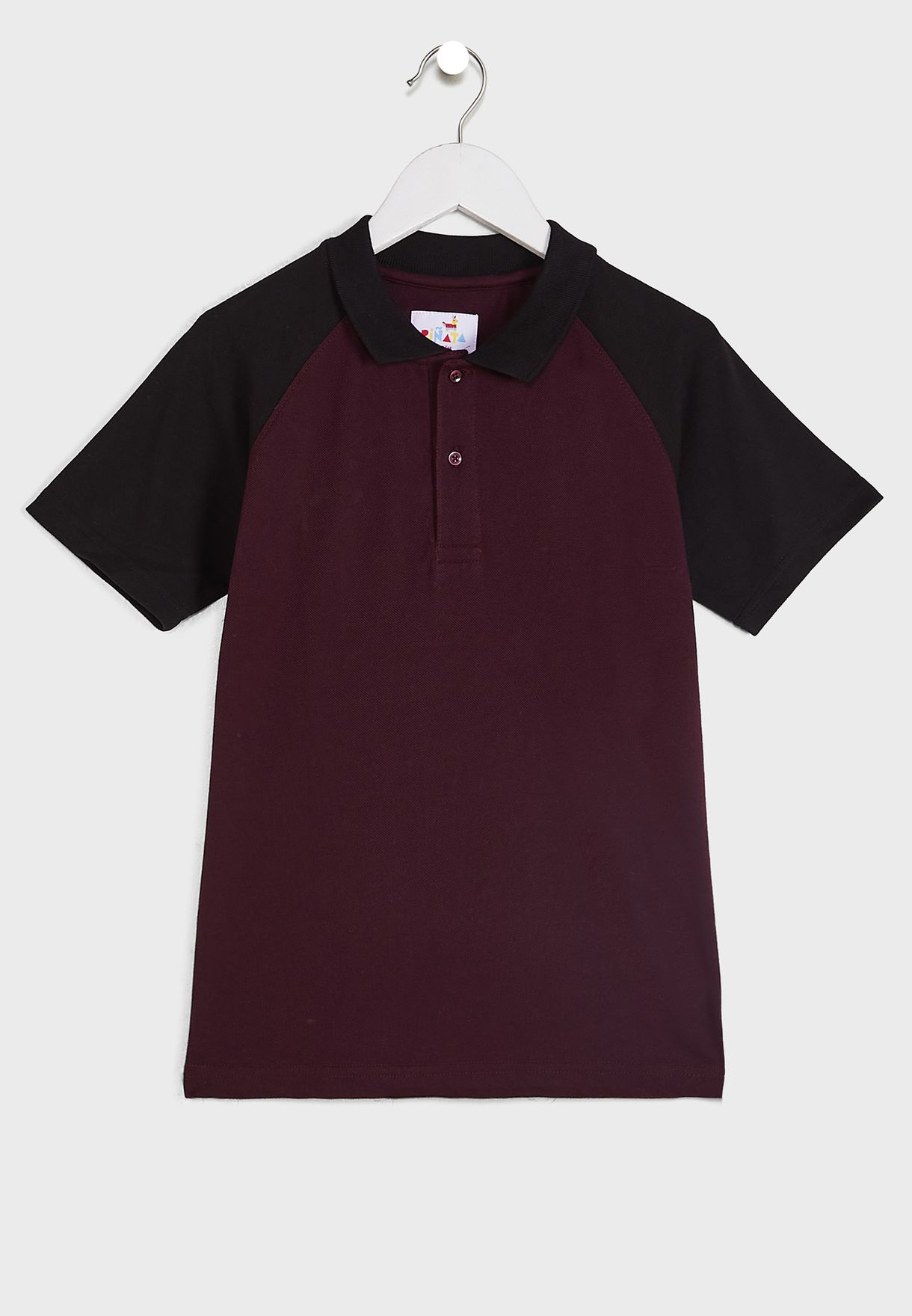 Color Blocked Polo