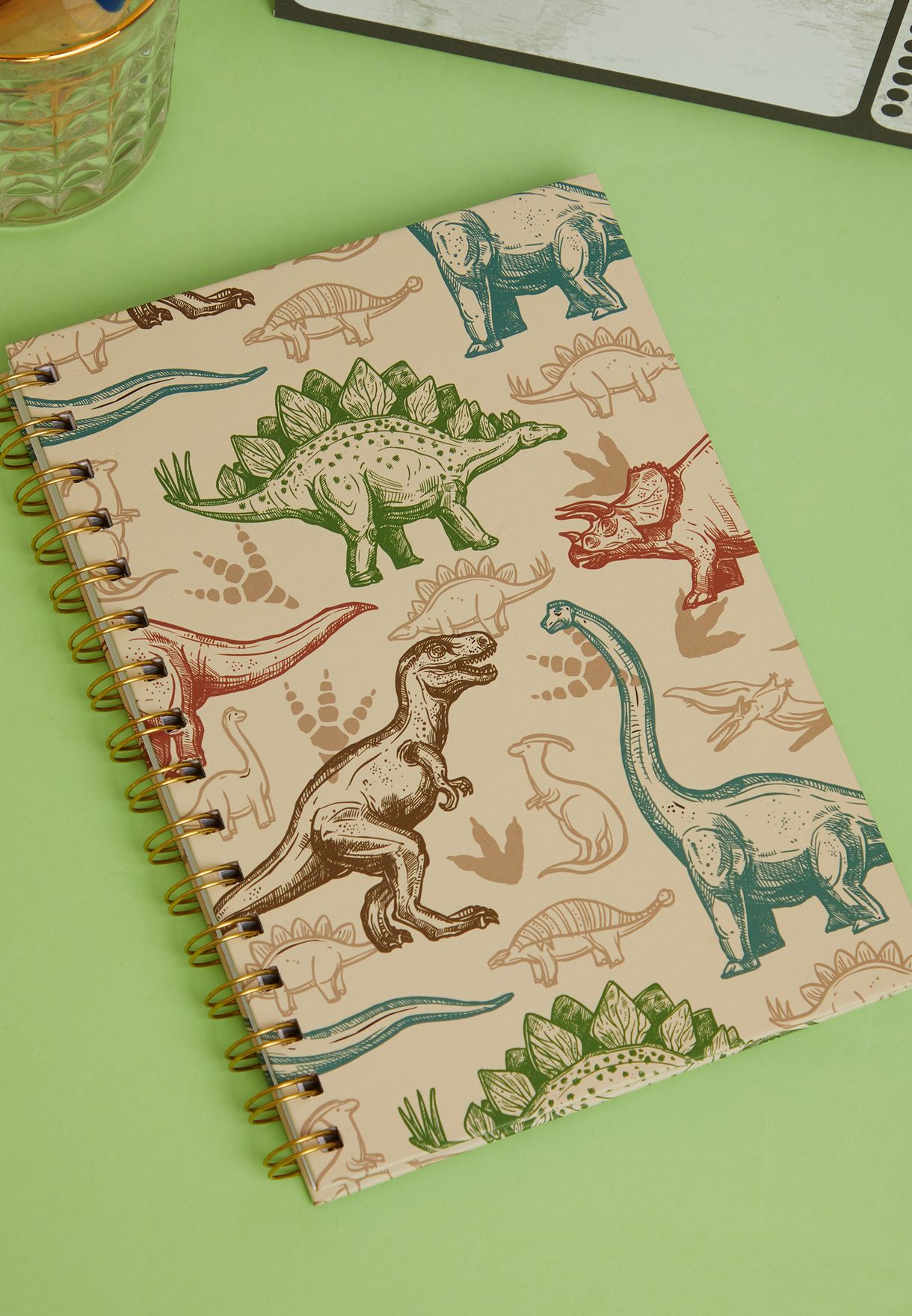A5 Spiral Hardcover Notebook - Dino