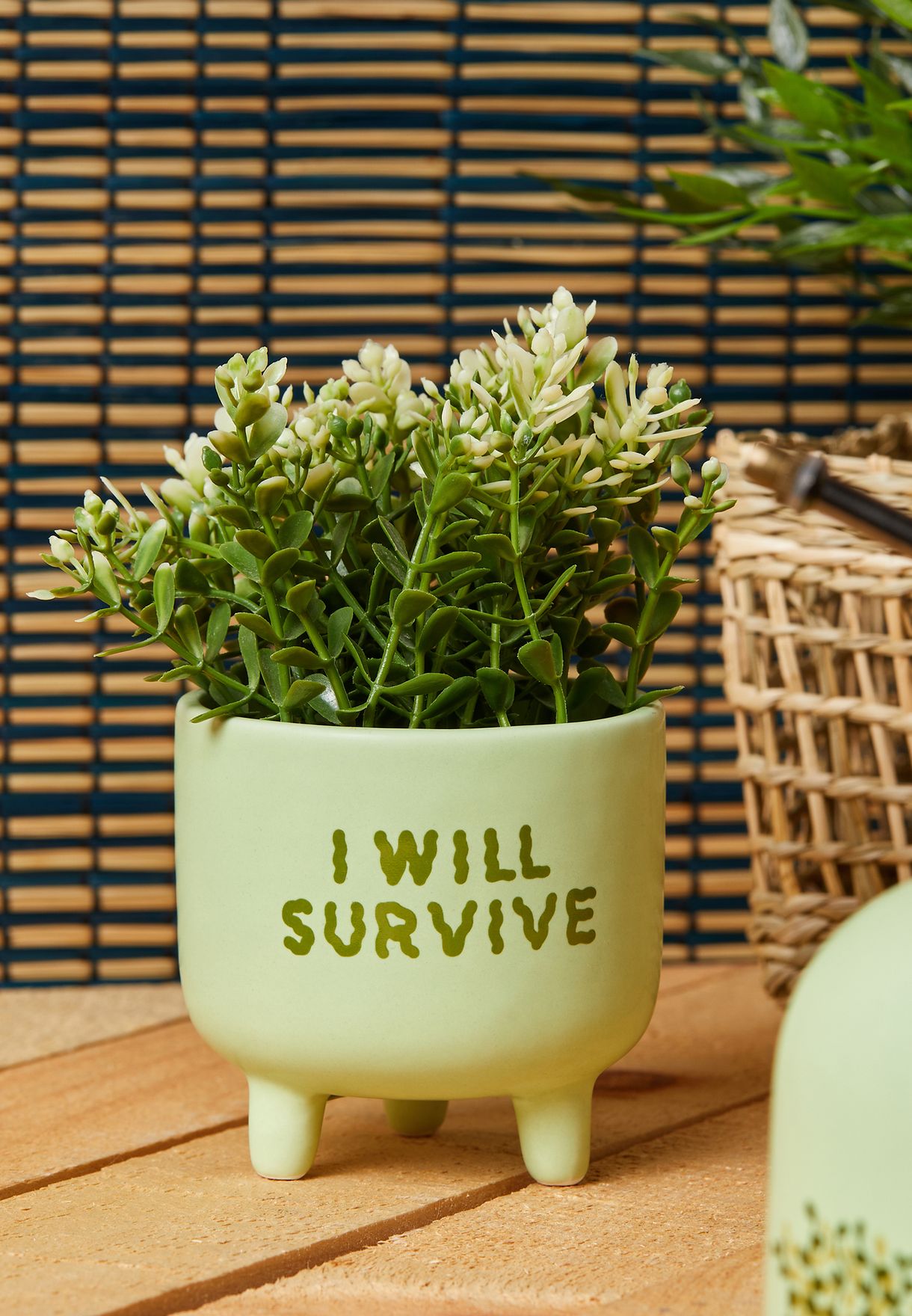 وعاء نباتات بطباعة I Will Survive