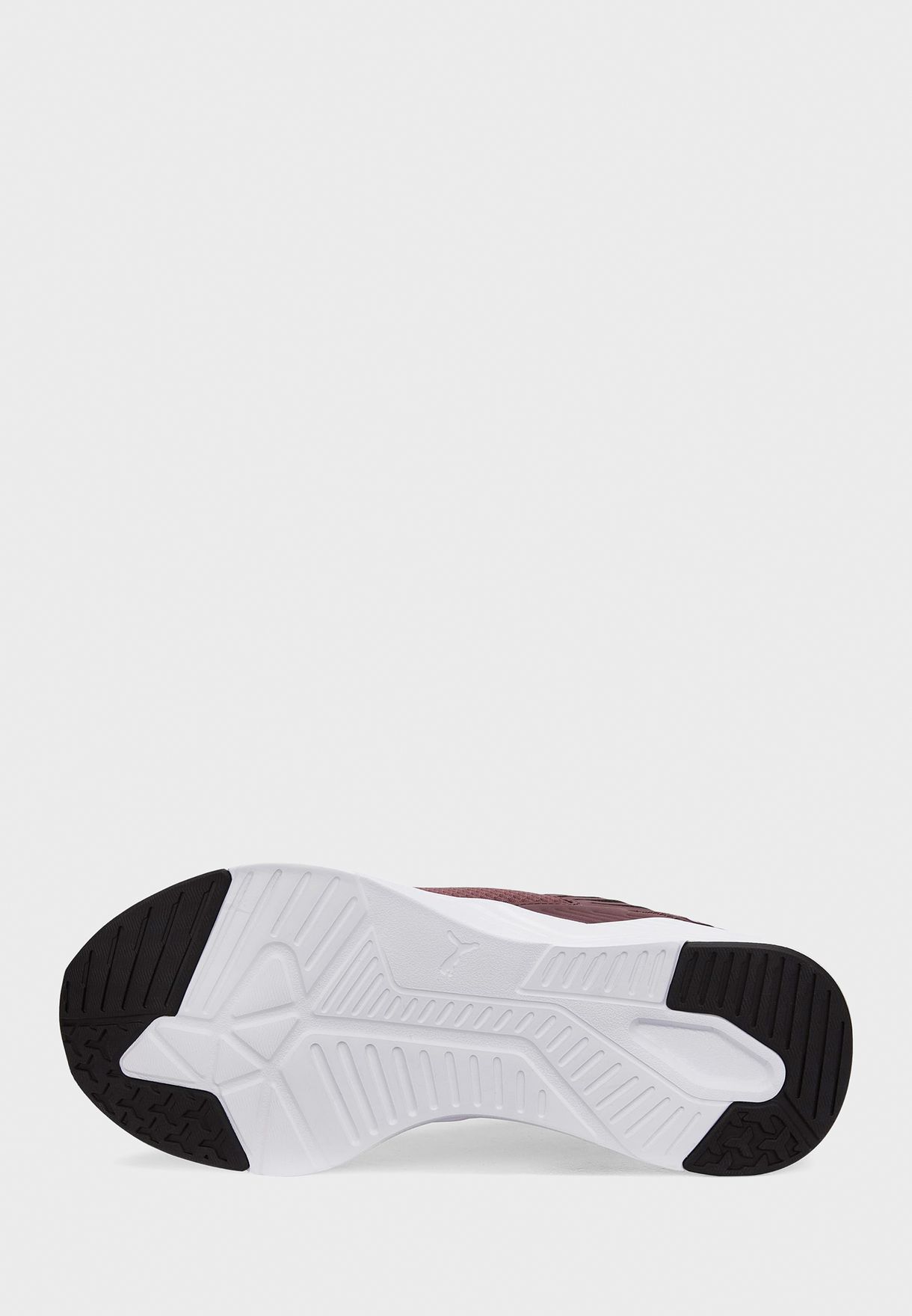 Disperse Xt 2 Mesh