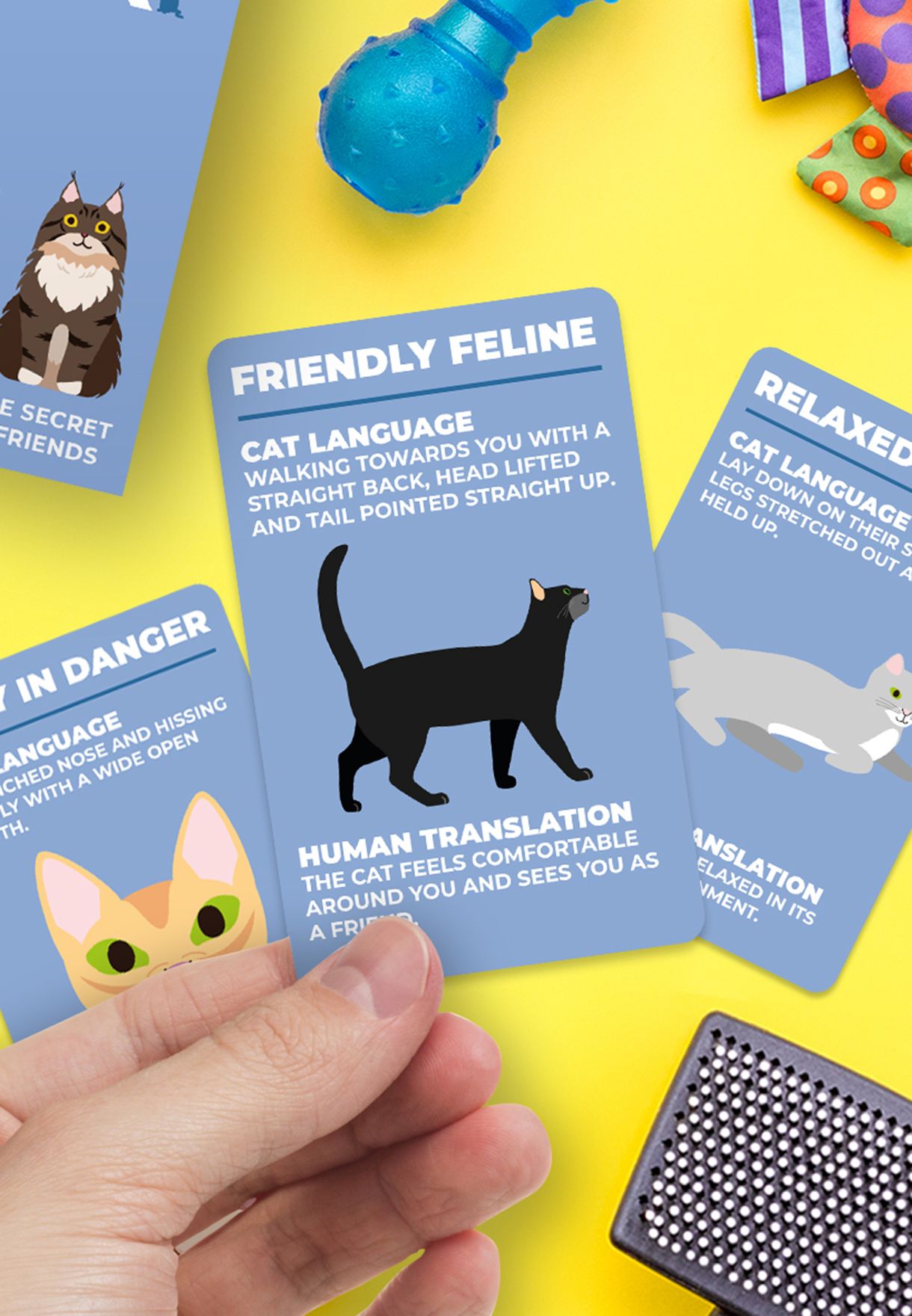 بطاقات فهم لغة القطط