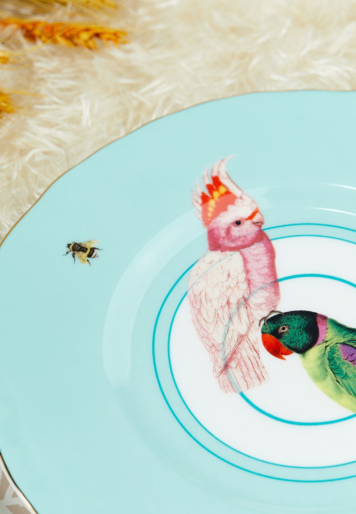 Sandwich Plate Parrot