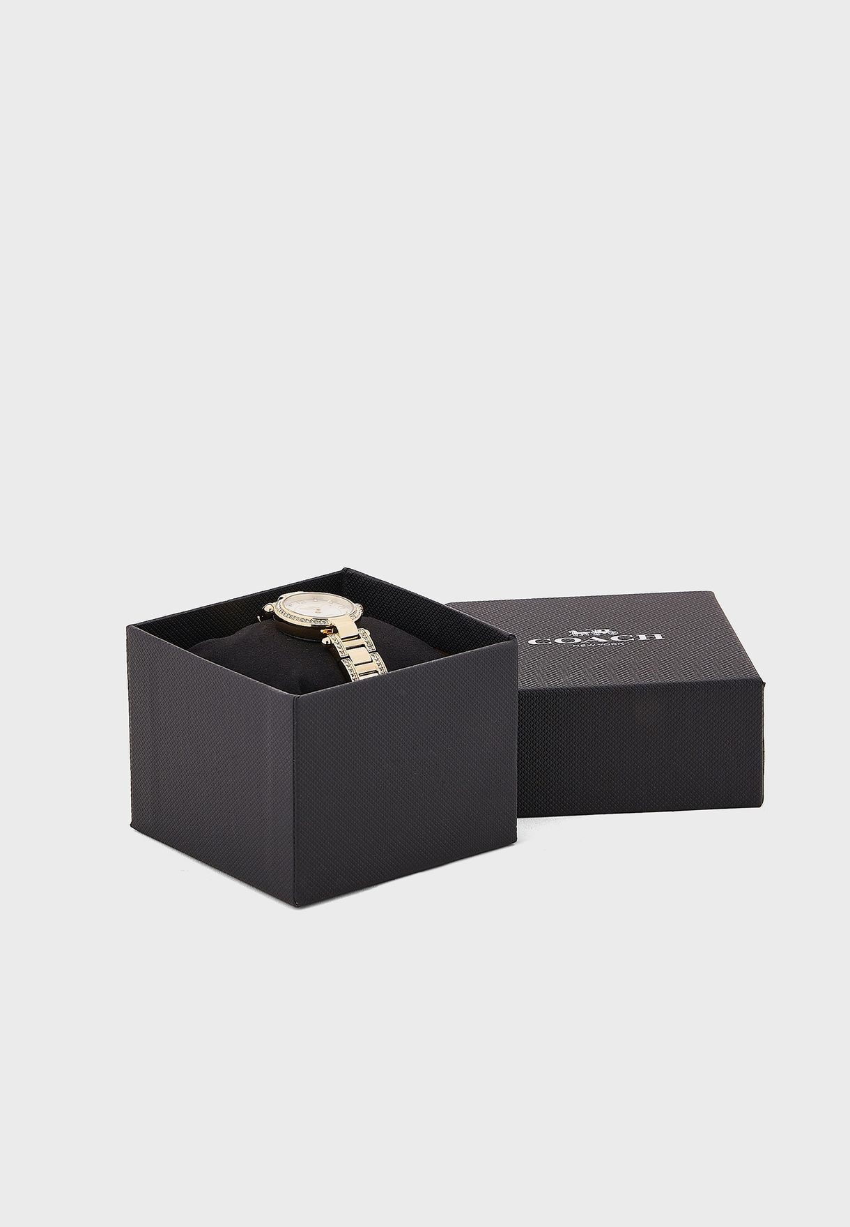 Cary Analog Watch