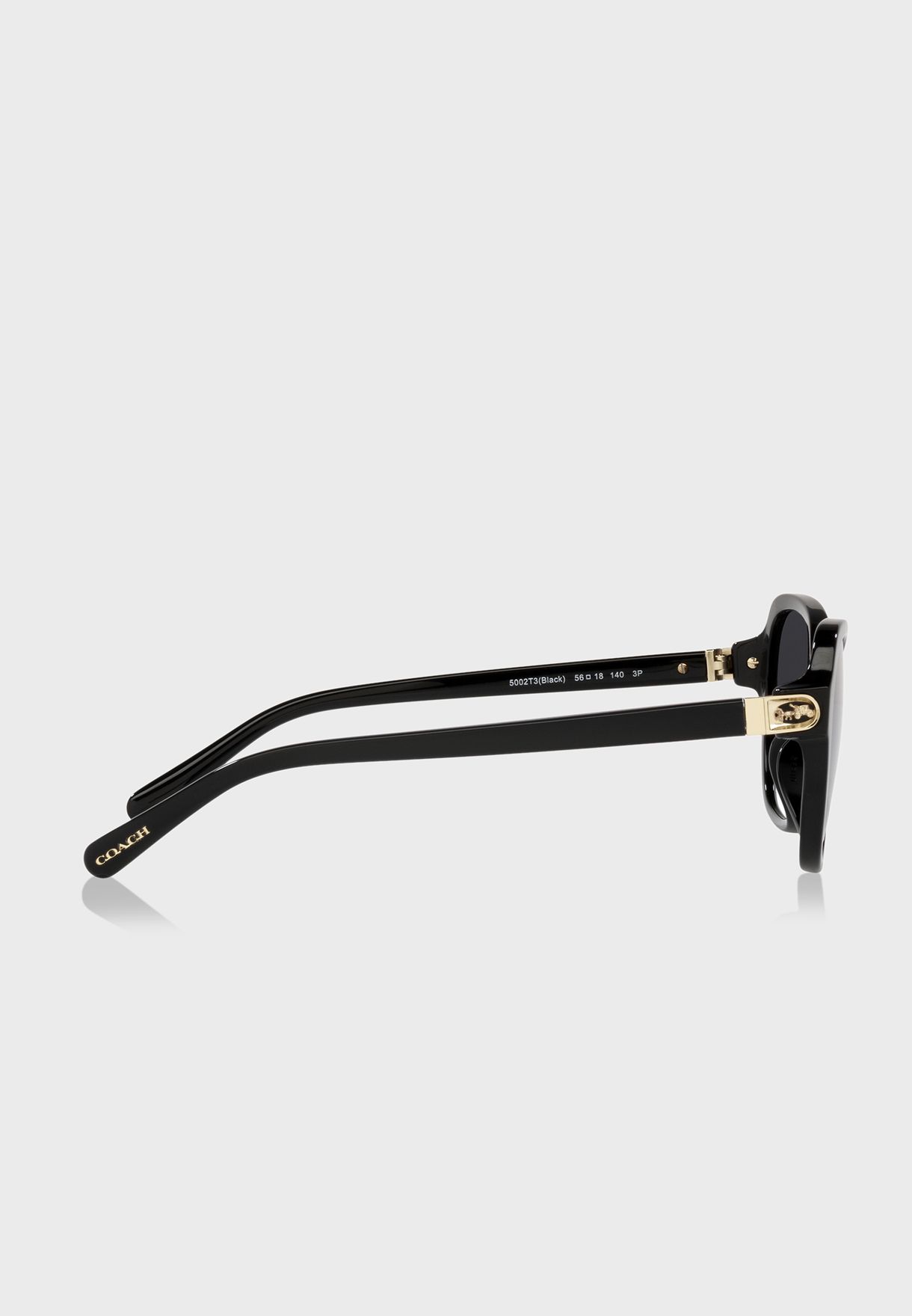 0Hc8349U Wayfarer Sunglasses