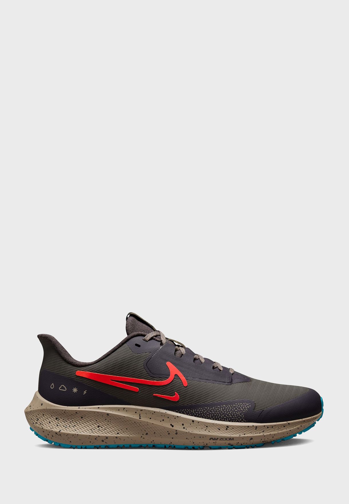Air Pegasus 39 Shield