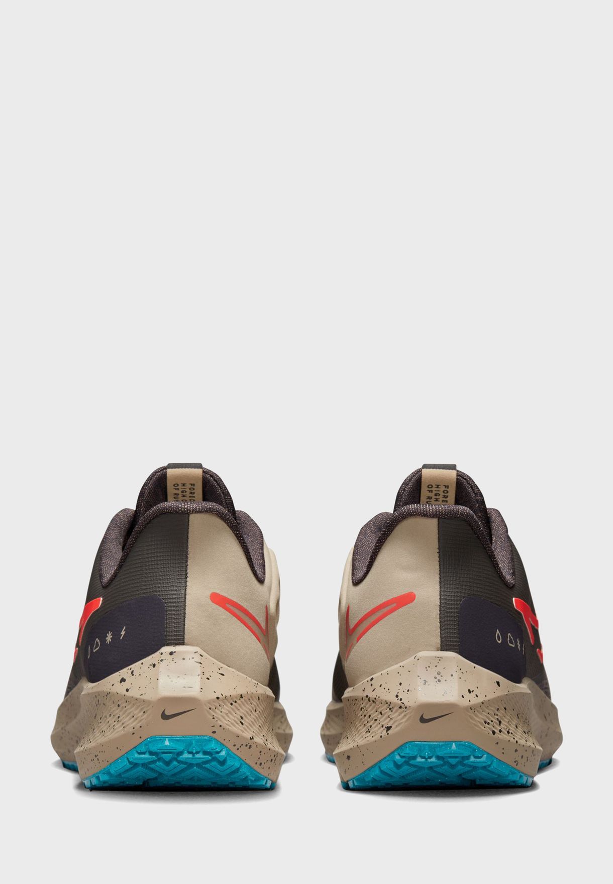Air Pegasus 39 Shield