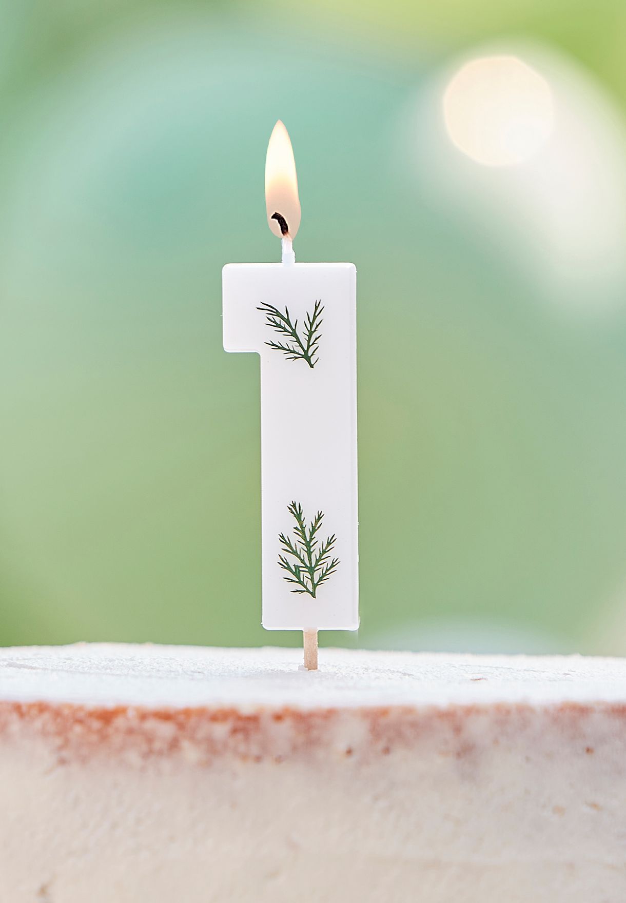 Pressed Foliage Candle - Number 1