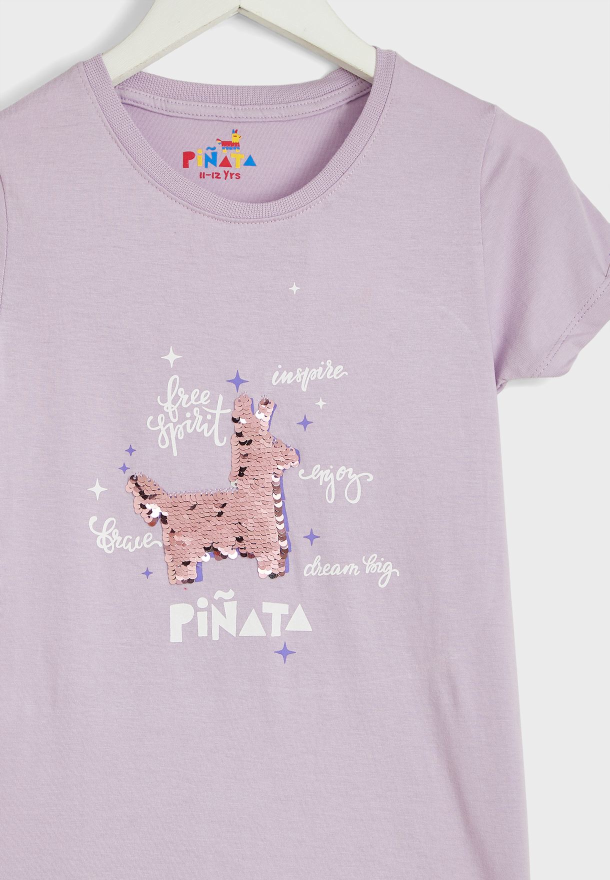 Regular Fit Sequineed Tshirt