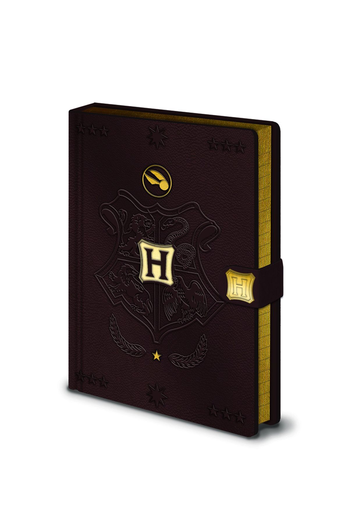 Harry Potter Quidditch Notebook