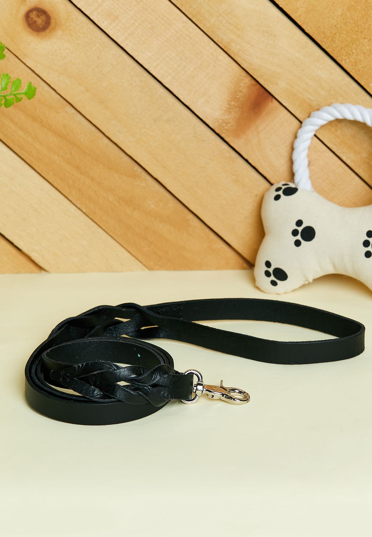 Black Braid Detail Leather Dog Leash