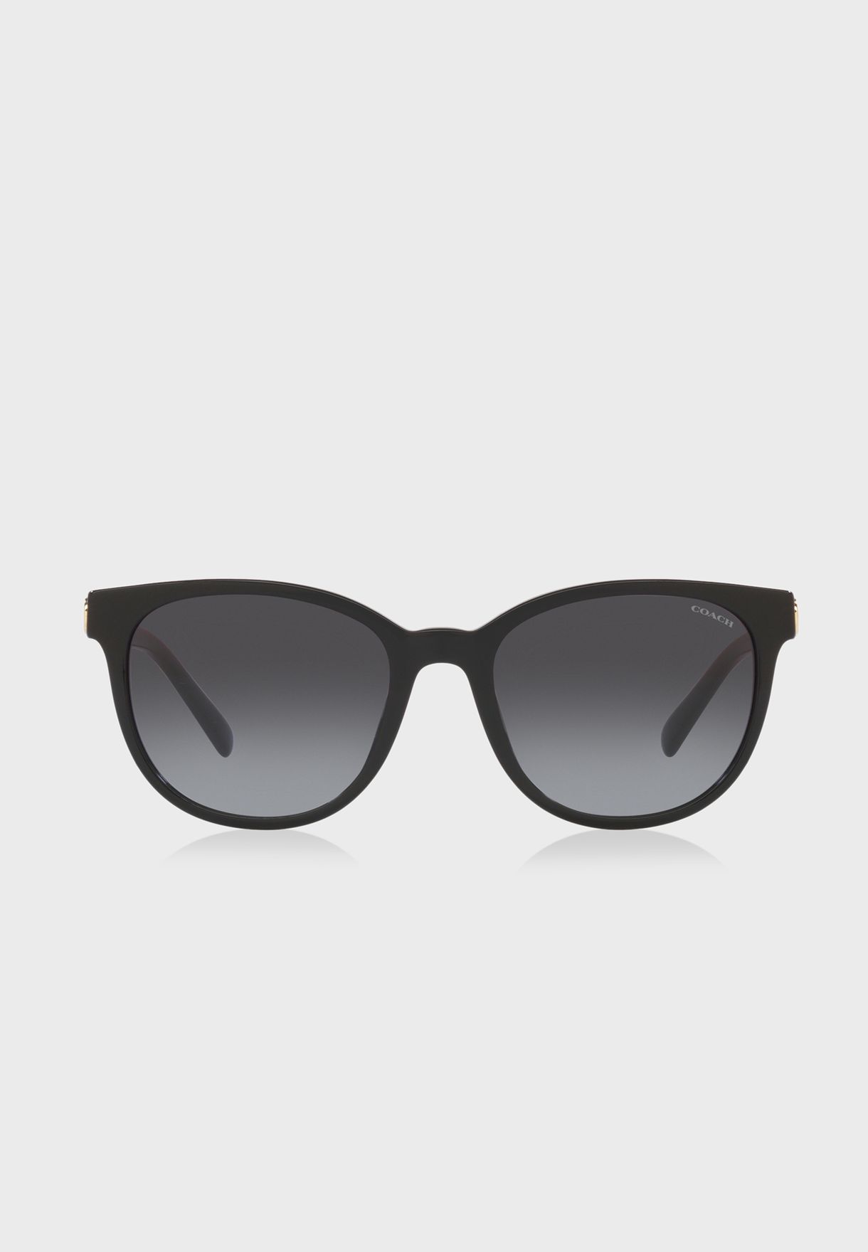 0Hc8350U Wayfarer Sunglasses