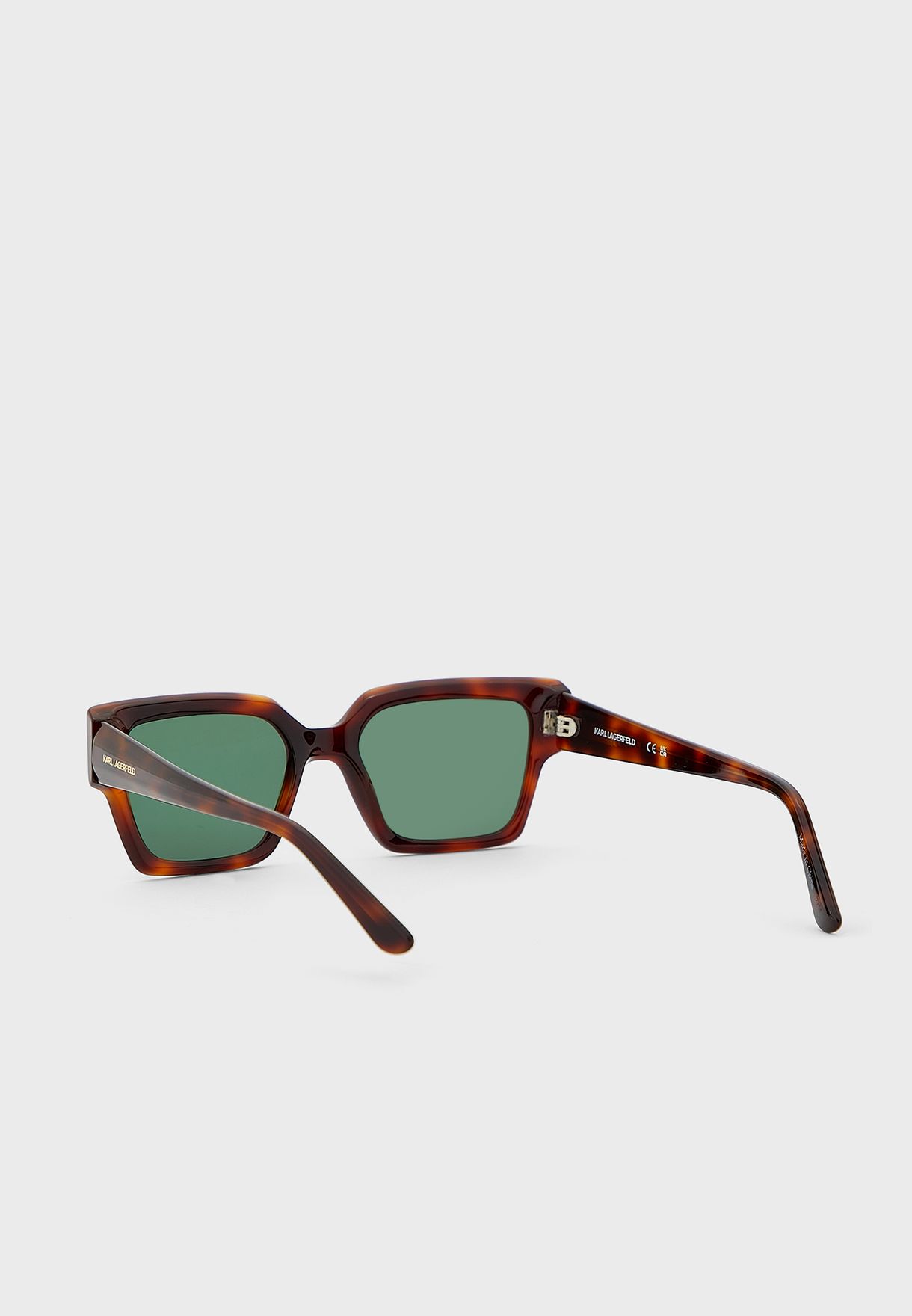Wayfarers Sunglasses