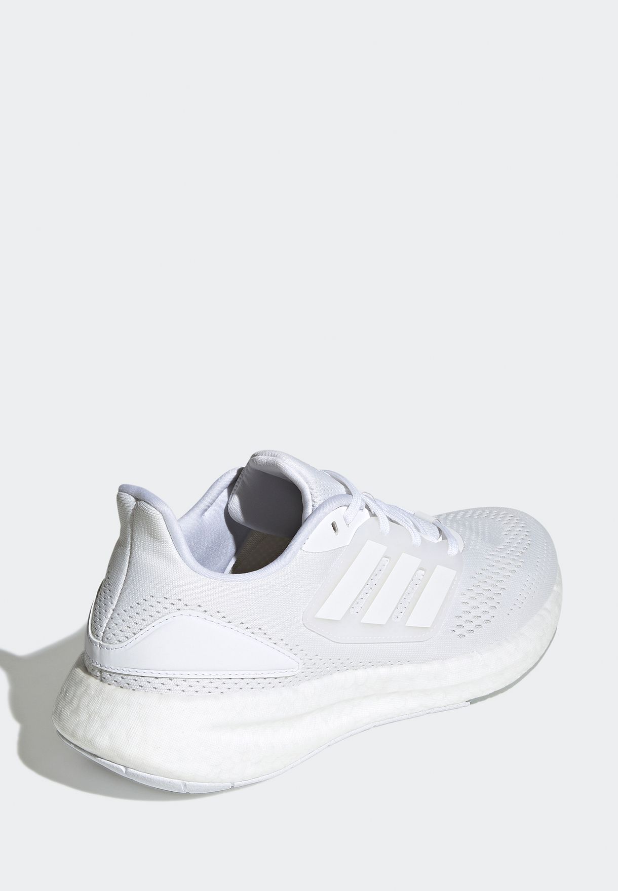 Pureboost 22   