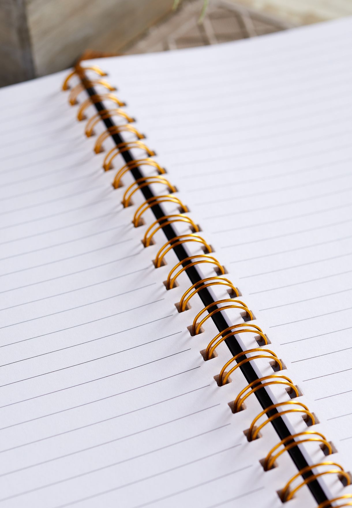 A4 Skull Notebook