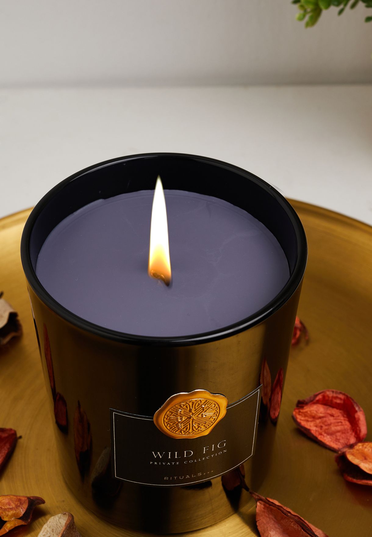 Wild Fig Scented Candle