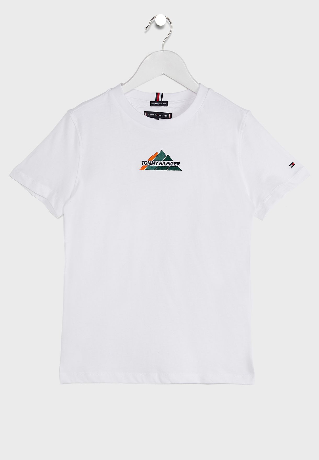 tommy hilfiger mountain logo