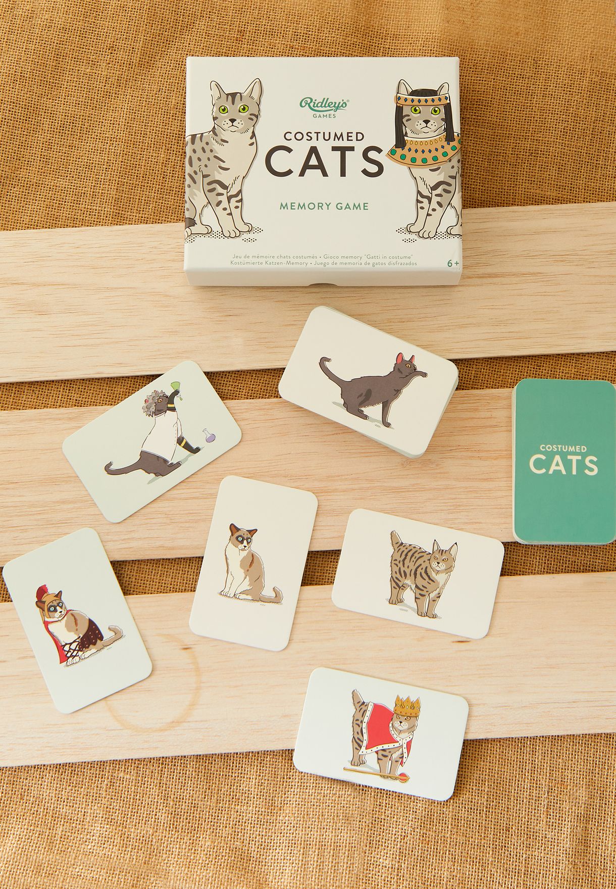Costume Cats Memory Game