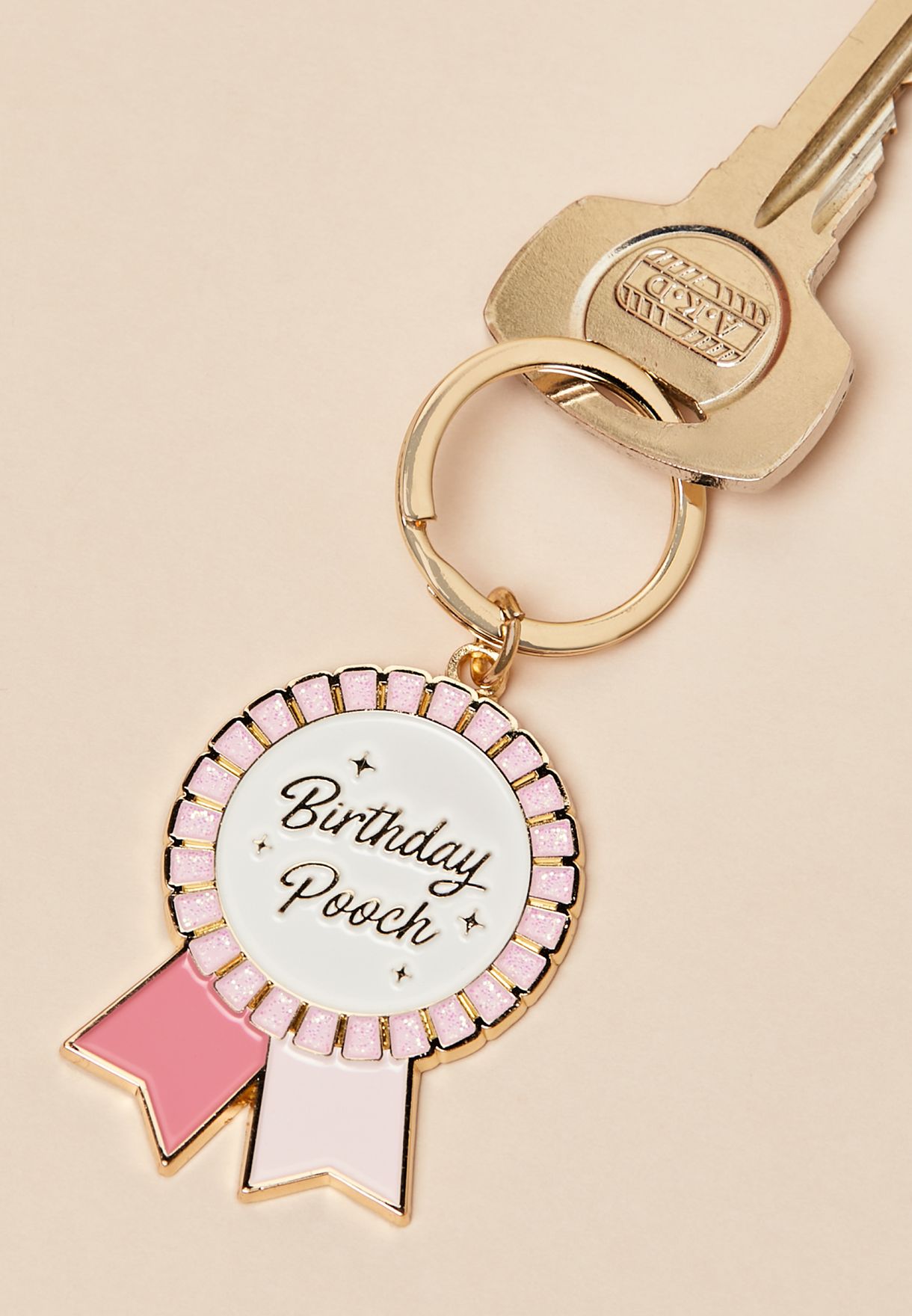Birthday Pooch Enamel Pet Tag