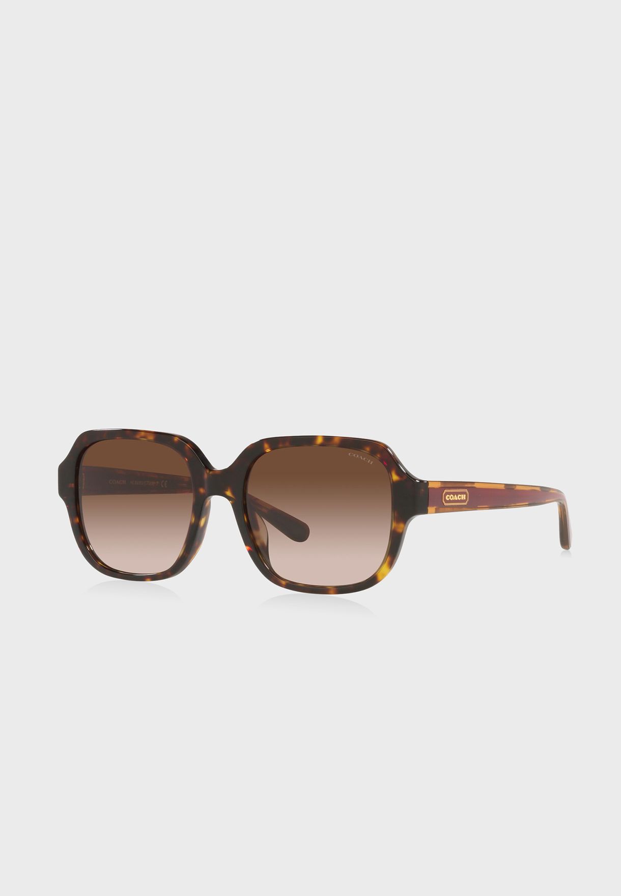 0Hc8335U Oversized Sunglasses