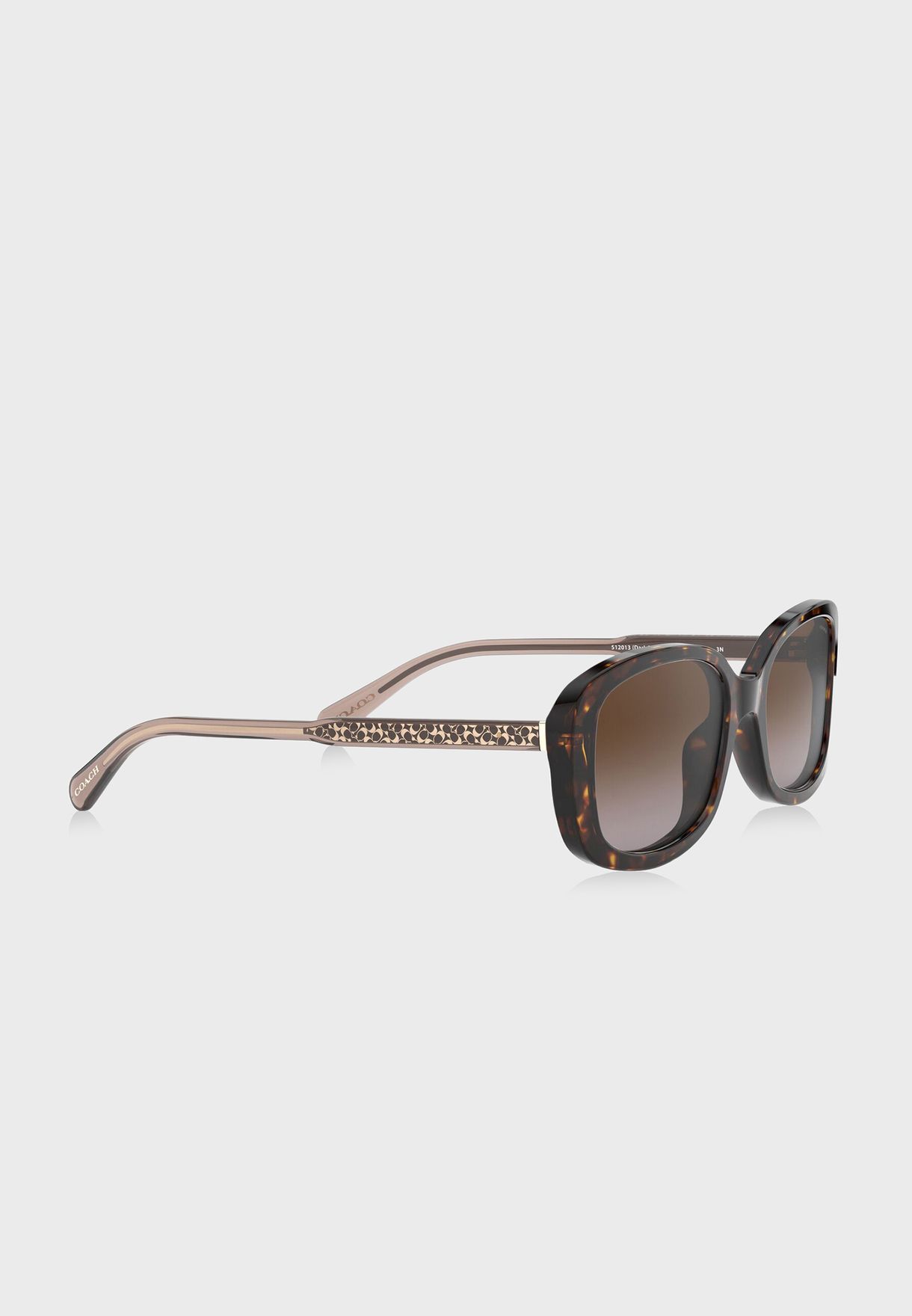 0HC8278 Wayfarer Sunglasses