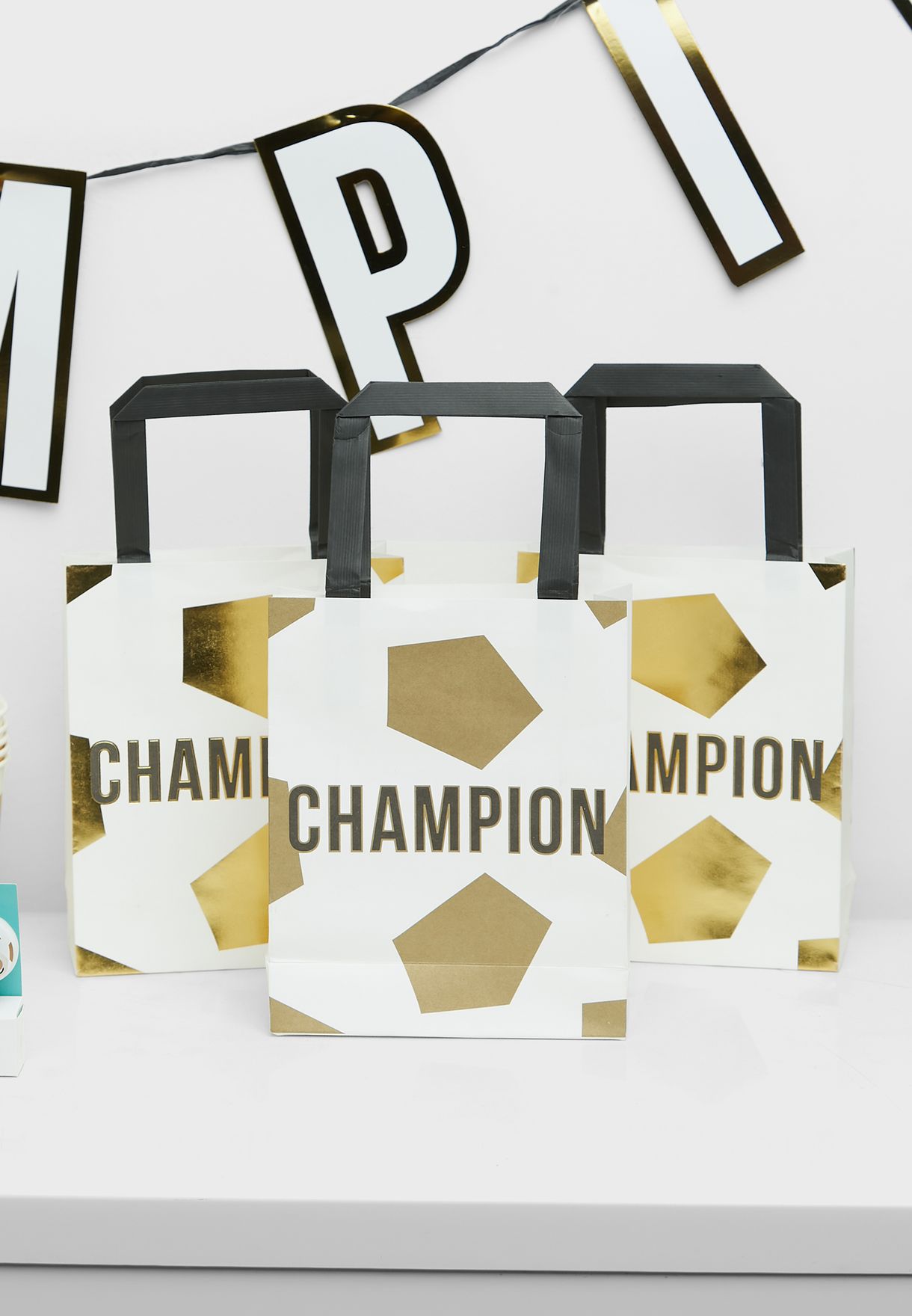 Set Of 6 Champions Party Bags