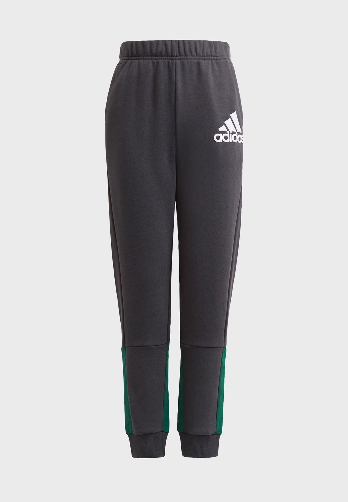 Youth Badge Of Sports Sweatpants