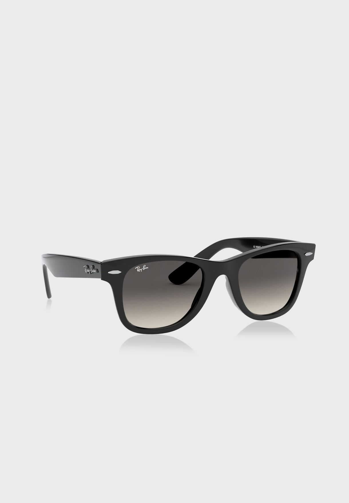 0Rj9066S Oversized Sunglasses