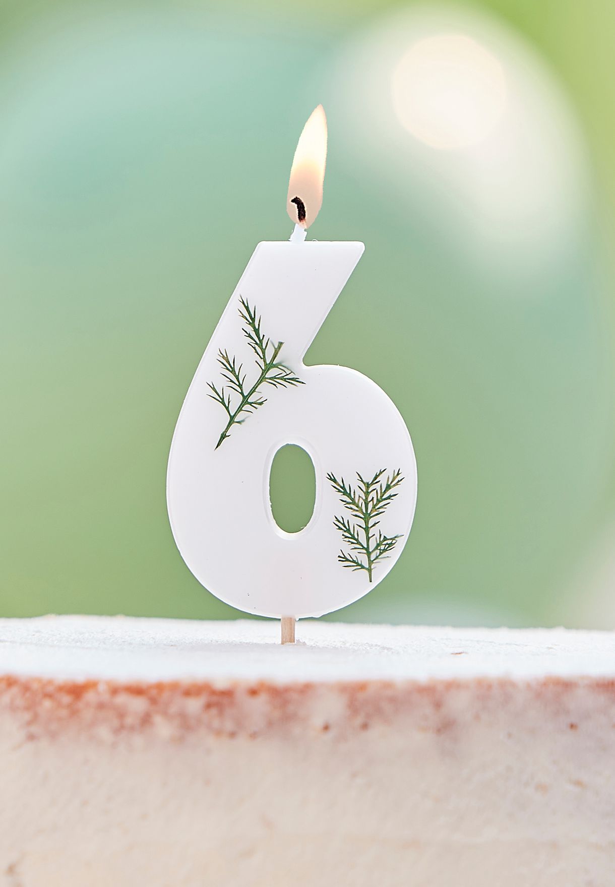Pressed Foliage Candle - Number 6