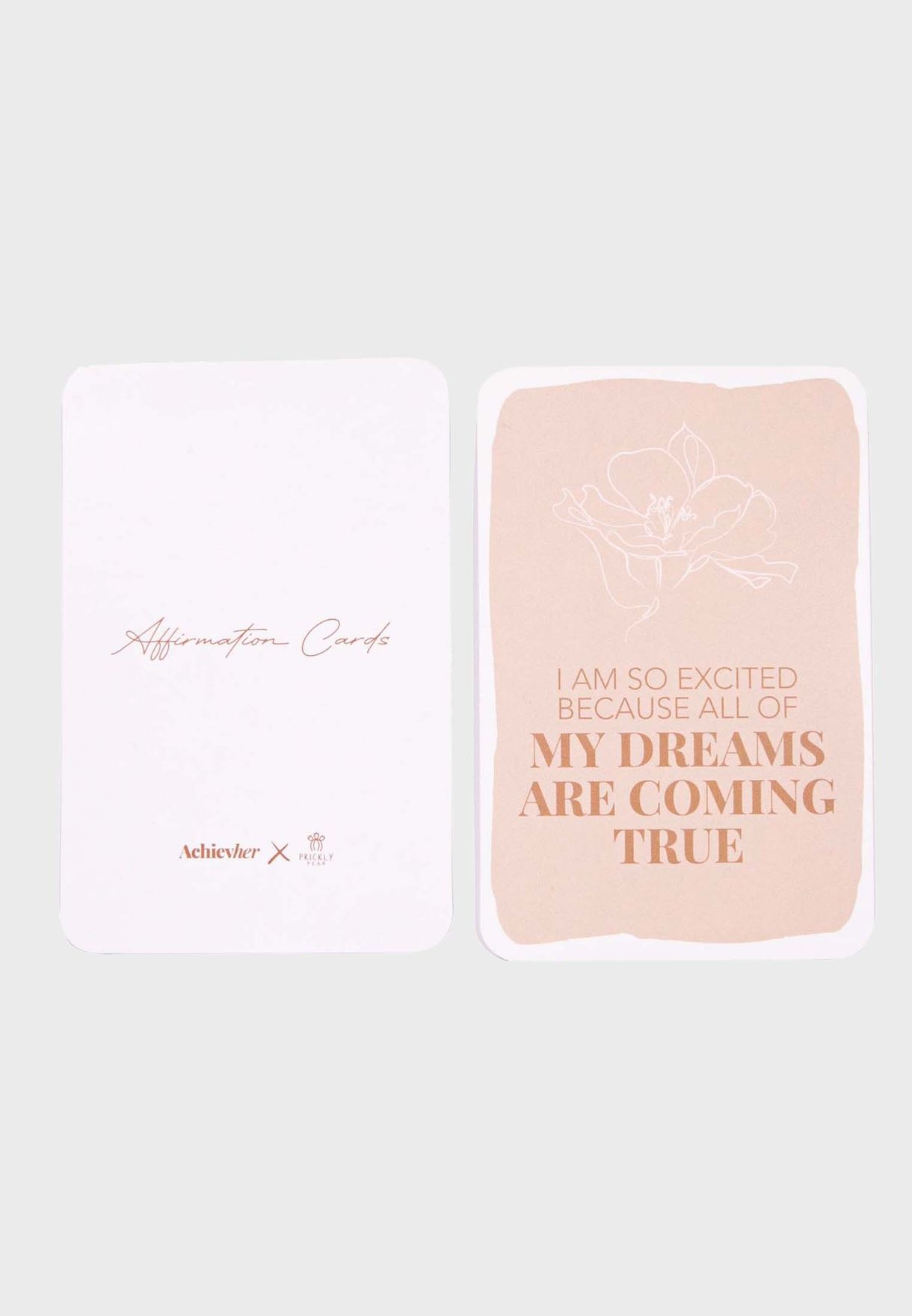 Achievher X Prickly Pear Affirmation Cards