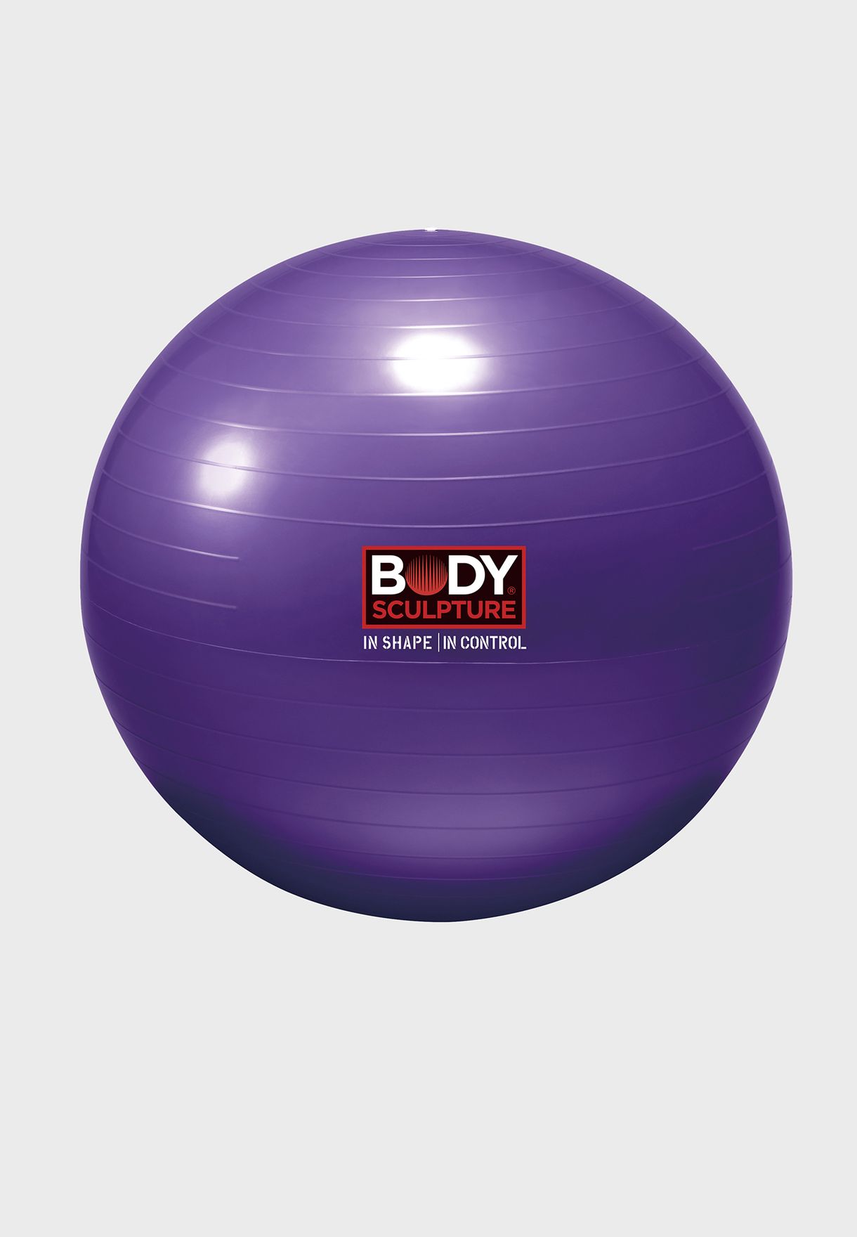 26" Anti-Burst Gymball/Blu-1000Gm P3