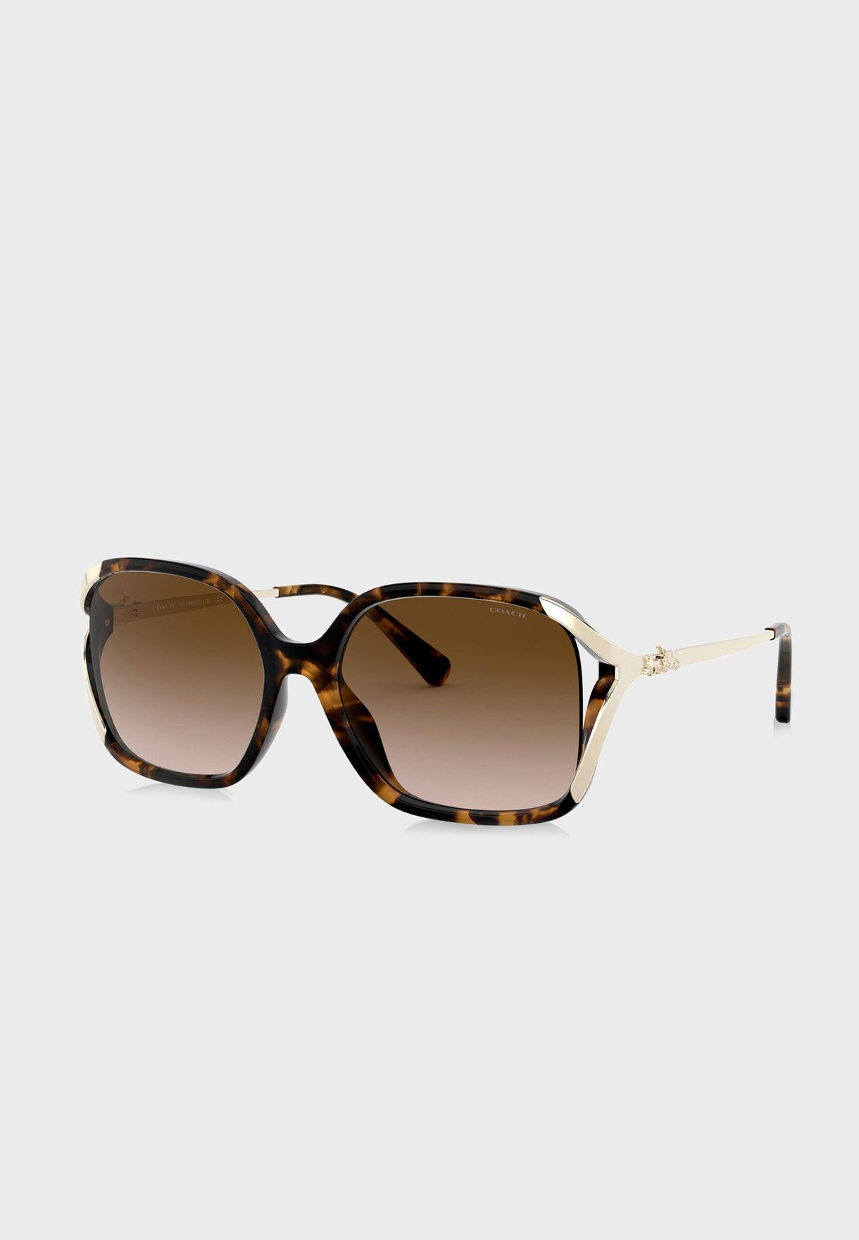 0HC8280U Oversized Sunglasses