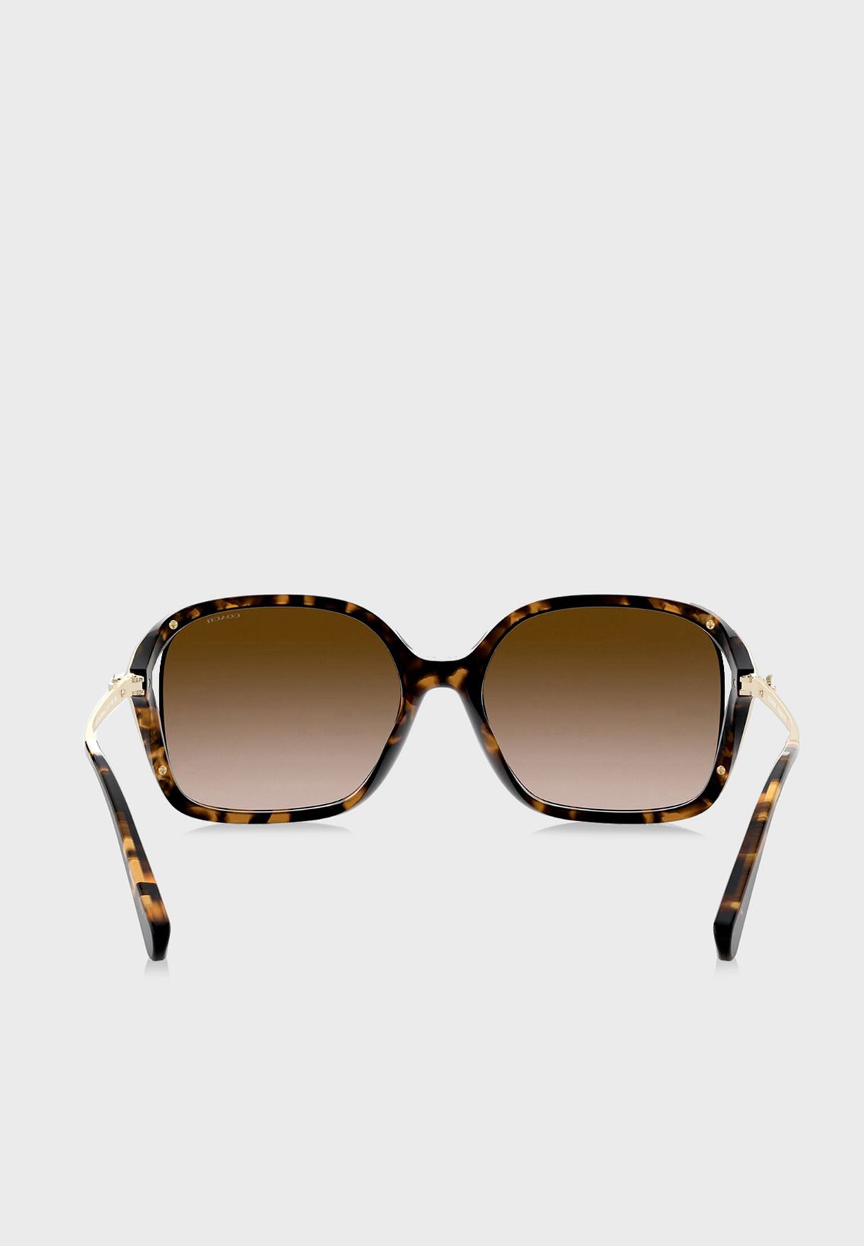 0HC8280U Oversized Sunglasses